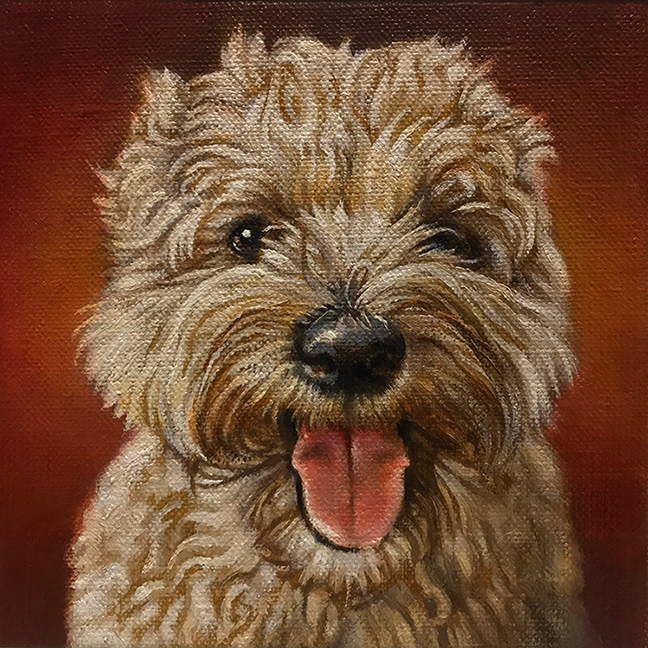 “Teddy”, 6x6in., oil on linen.