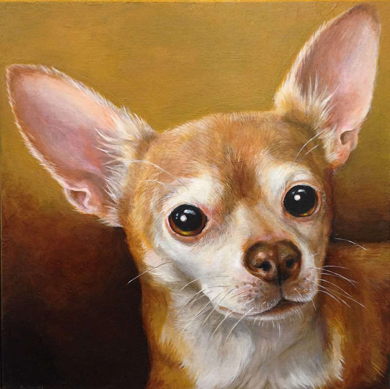 "Julius”, 8x8in., acrylic on panel