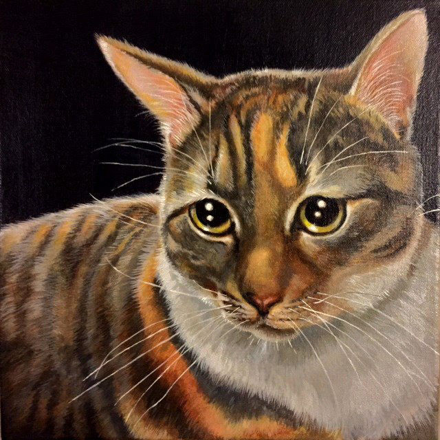 “Julie's Cat”, 12x12in., acrylic on canvas