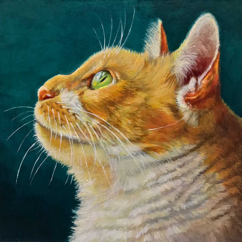 “Mr. Kitty”, 5x5in., acrylic on Claybord