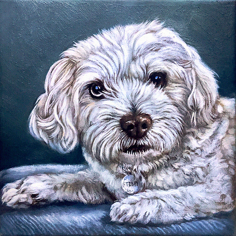 “Truvy”, 8x8in., oil on canvas