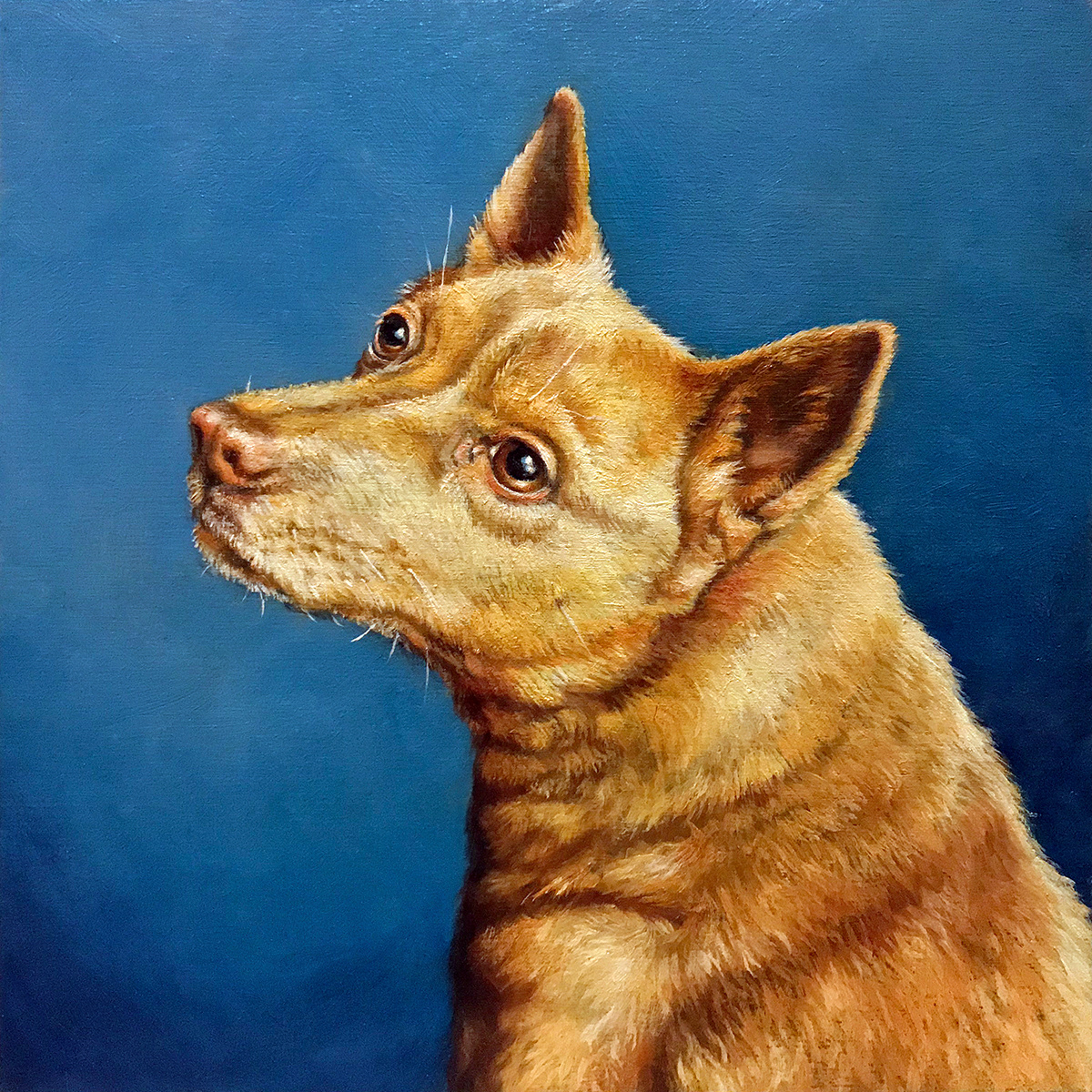 “Cleo”, 8x8in., oil on panel
