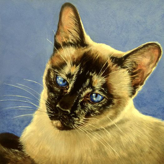 "Captiva", 8x8in., acrylic on panel