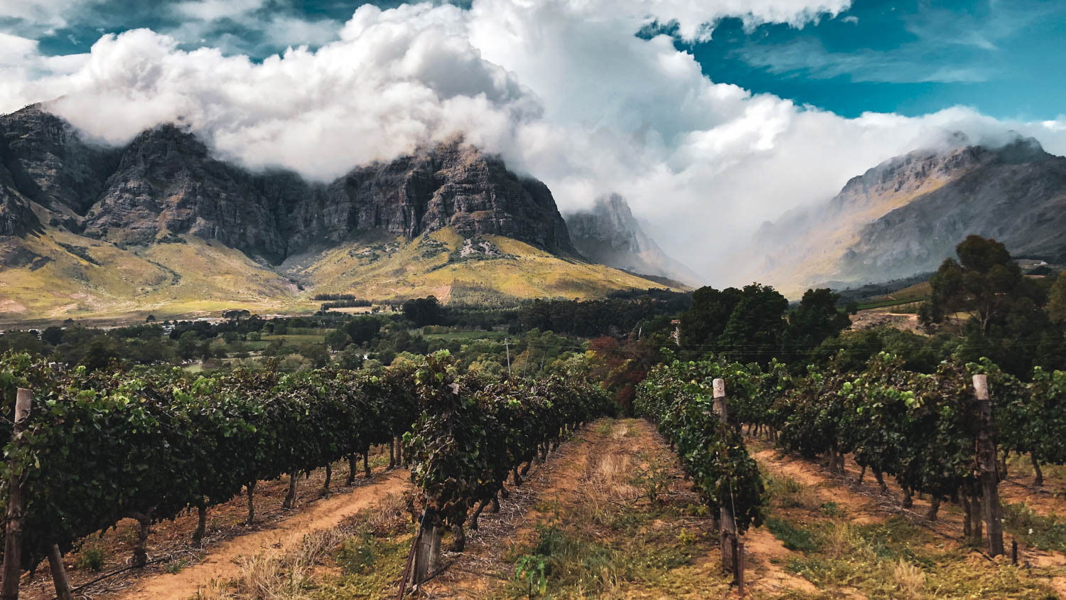 Western Cape, South Africa