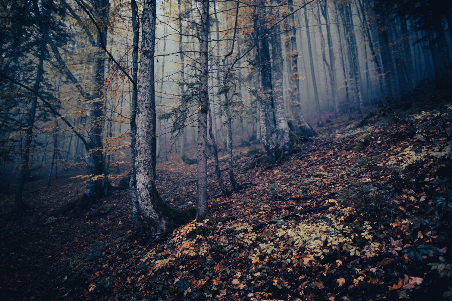 Lower Austria, Austria