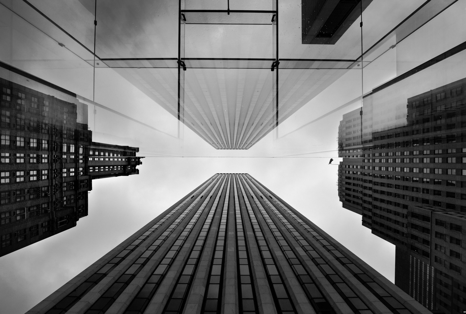 New York City, United States