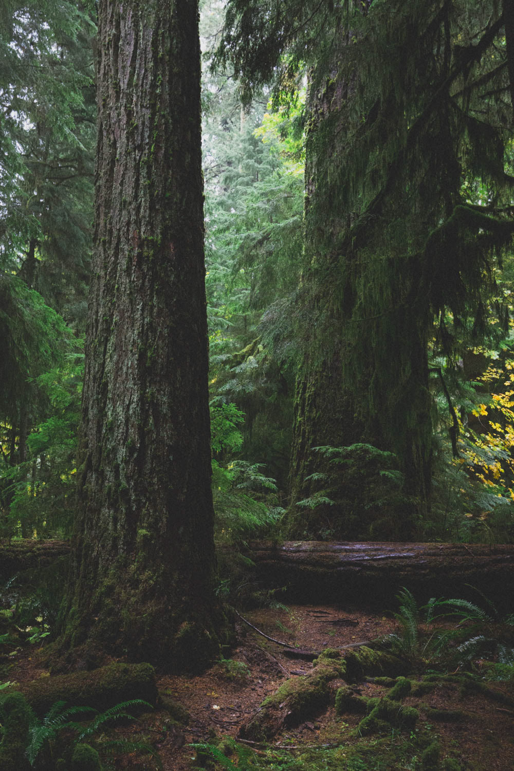 Vancouver Island, Canada