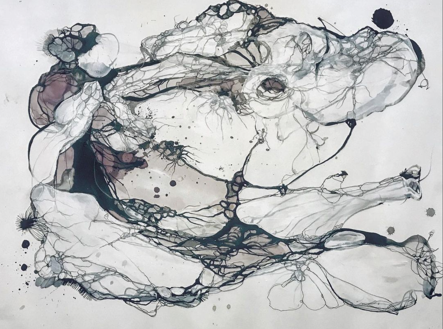 Cardi - Ink Pencil, Red Wine on Vellum 42 x 59.4 cm / 16.5 x 23.4"