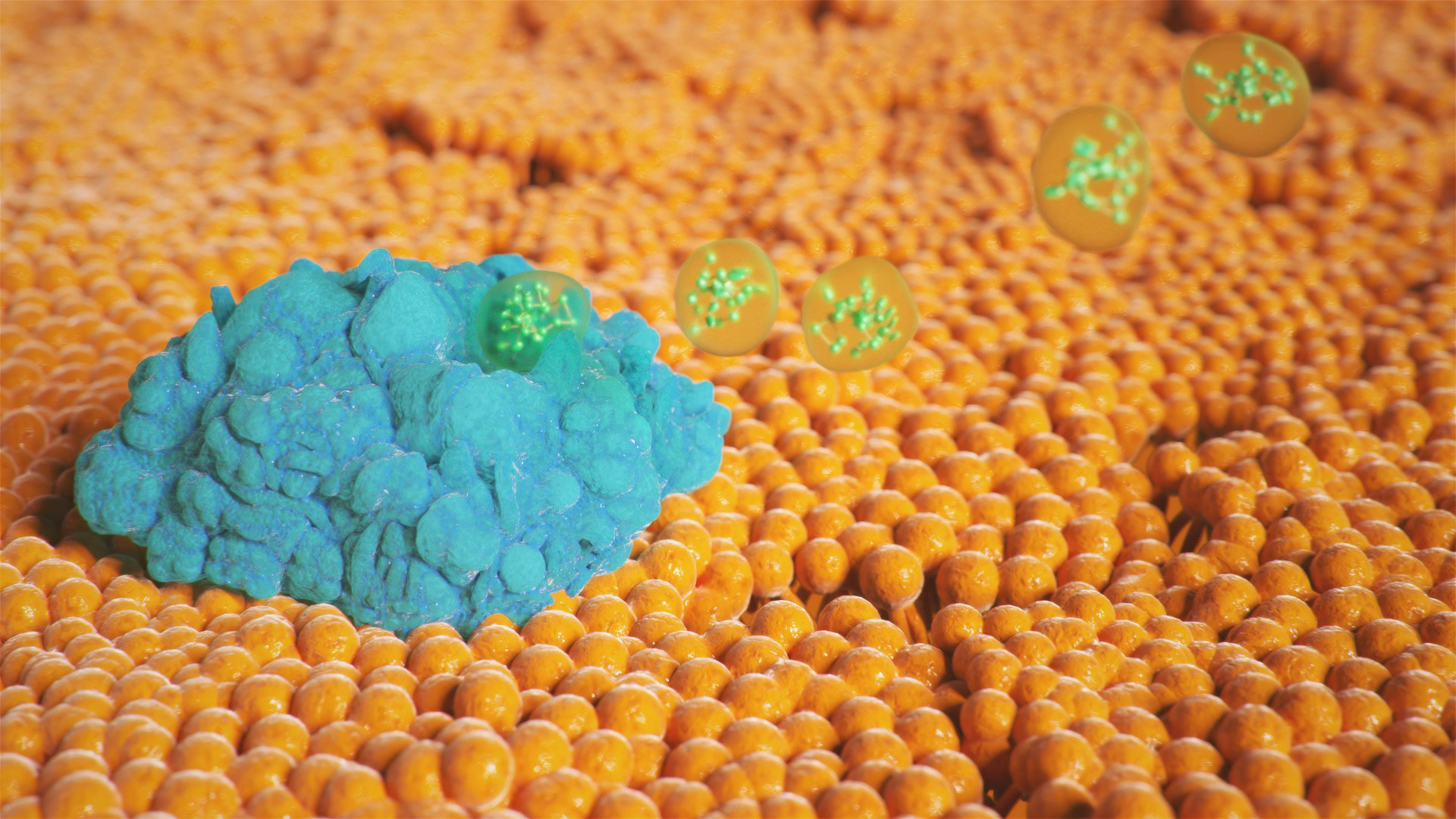 Prostaglandin production