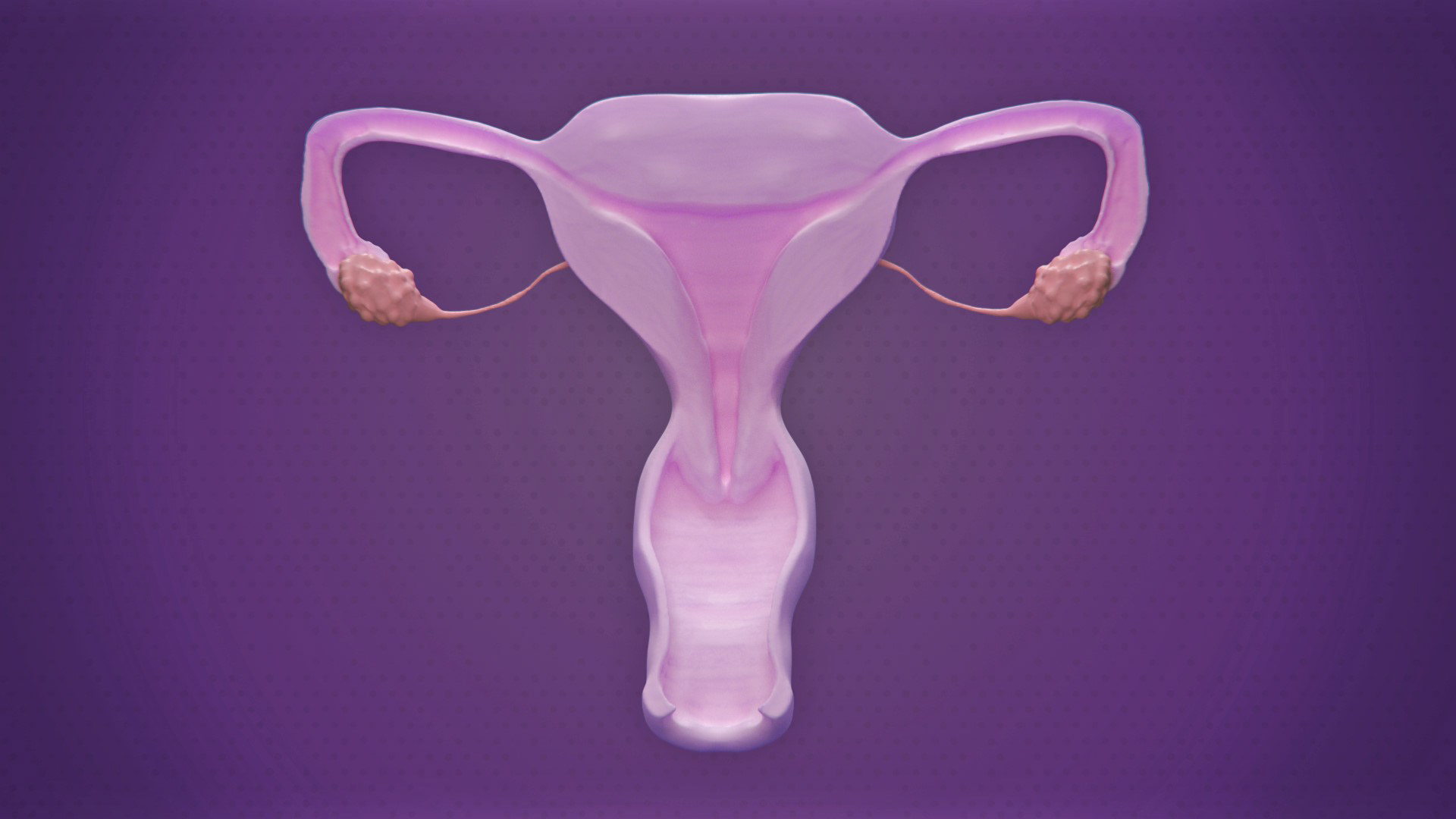 Uterus