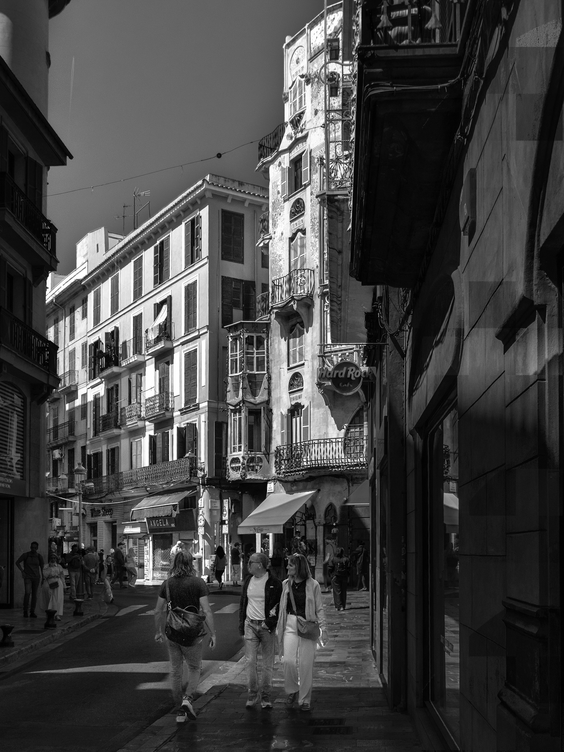 Palma
