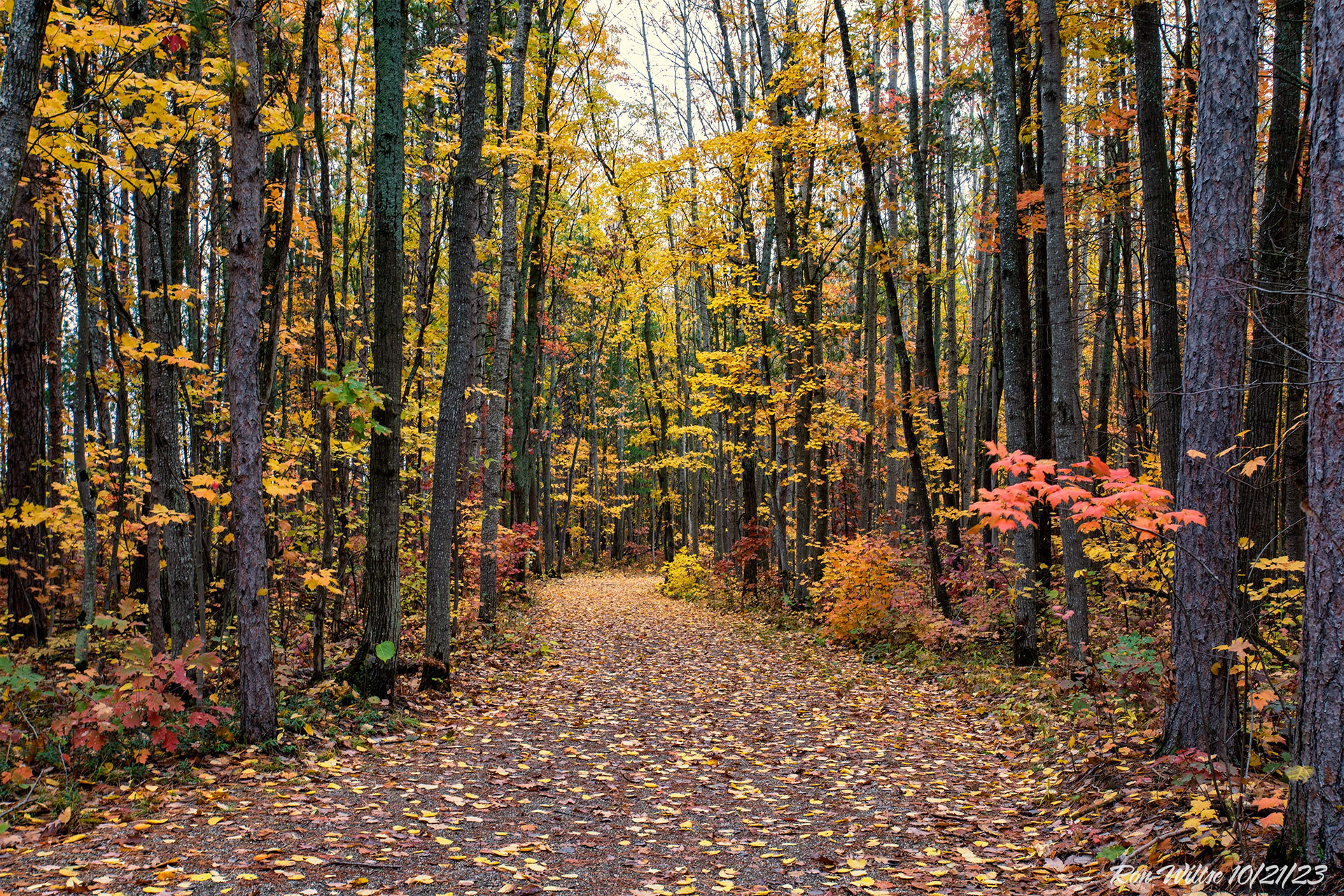 Higgins Lake CCC Fitness Trail, Michigan