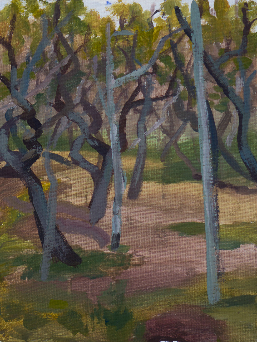 Dancing Trees, 2025 - Acrylics on Board (39.8 x 29.8cm) - Price: €71.16