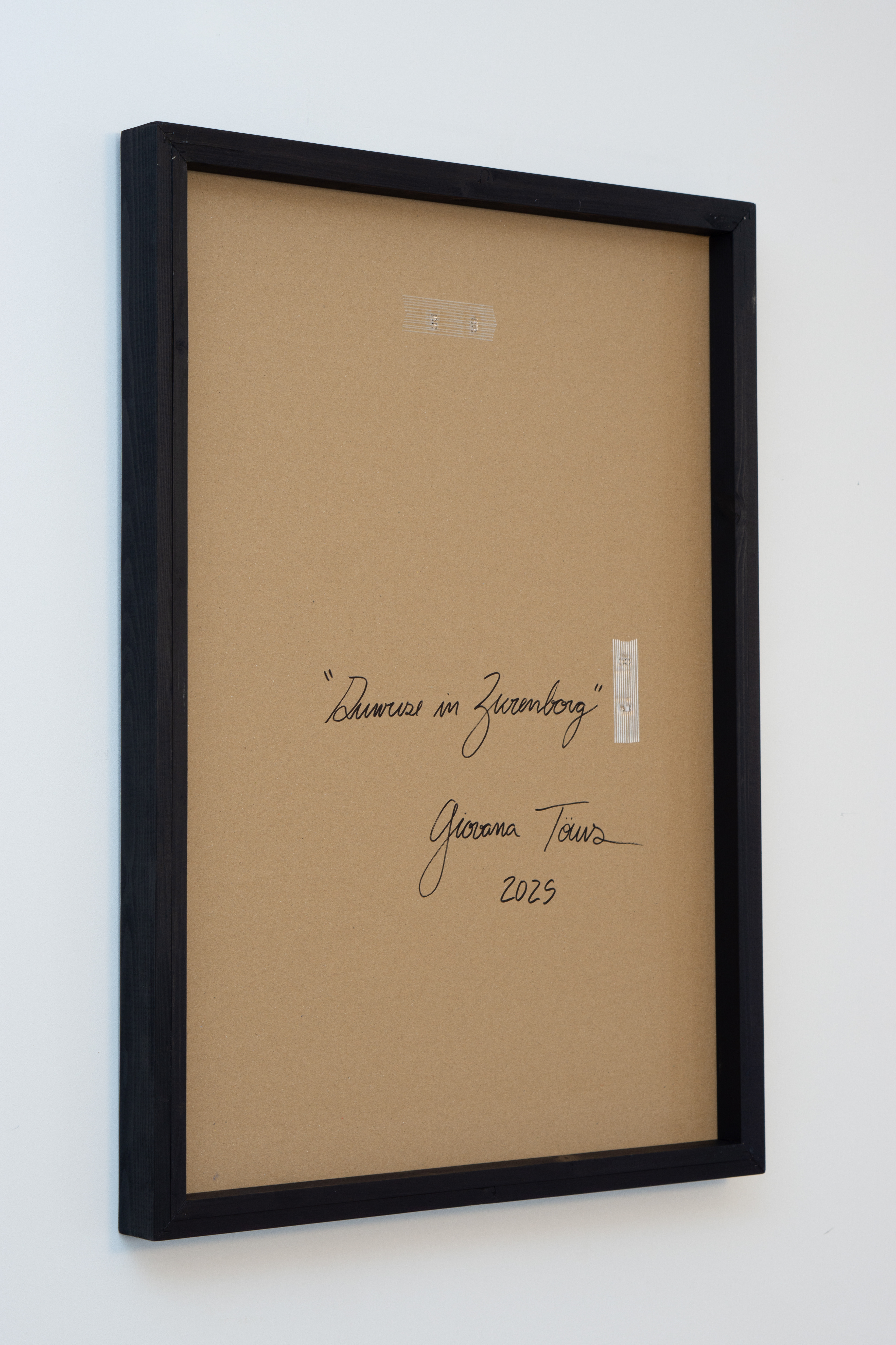 Frame type 2 with matte black paint