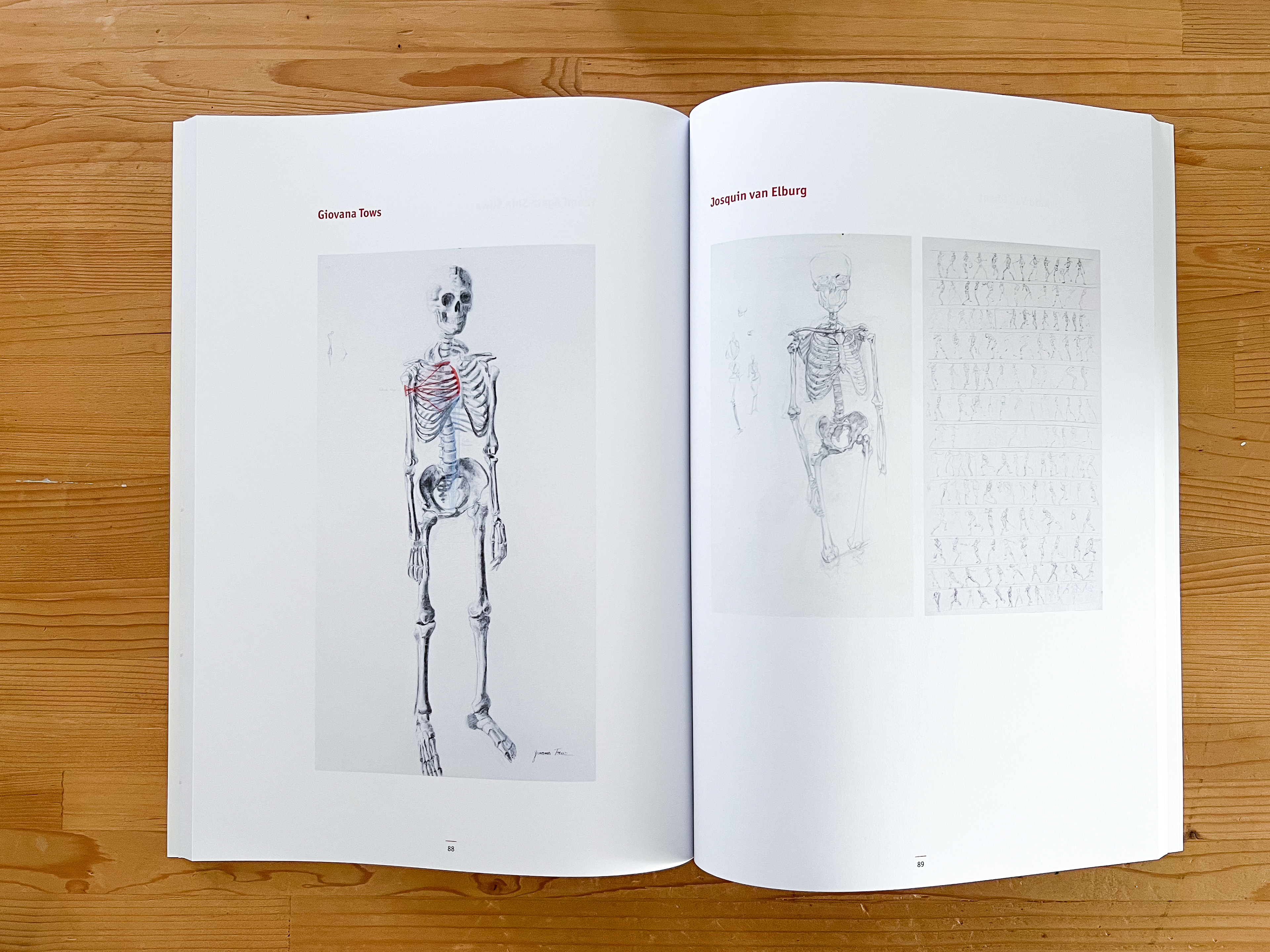 Skeleton drawing by Giovana Töws in the catalogue by the University of Antwerp, 2026