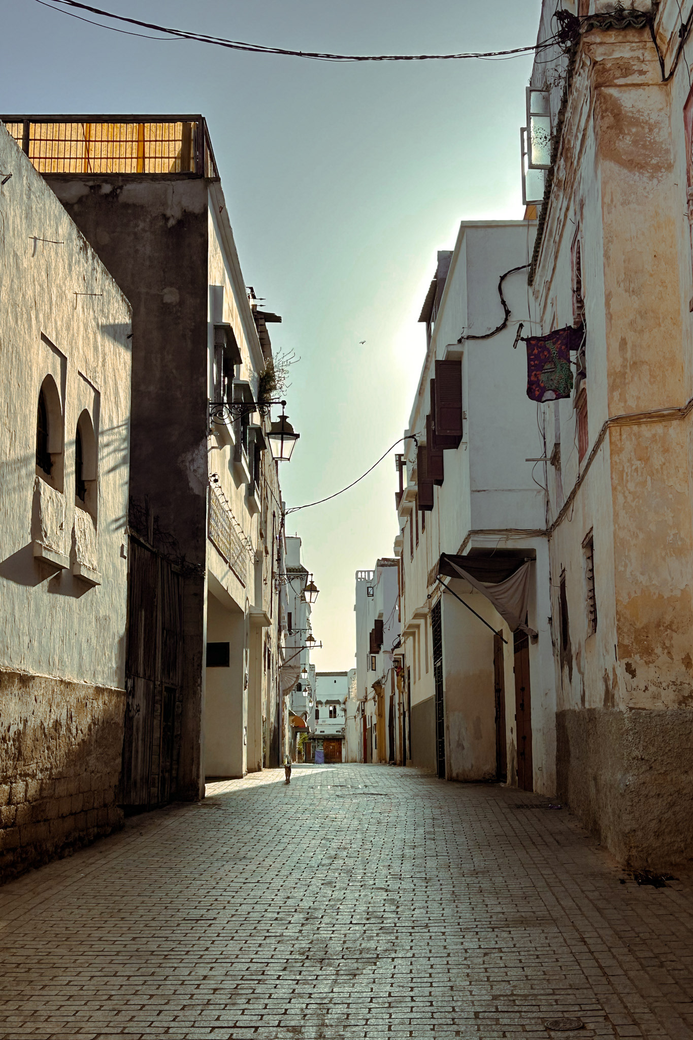 Eid morning. Rabat.