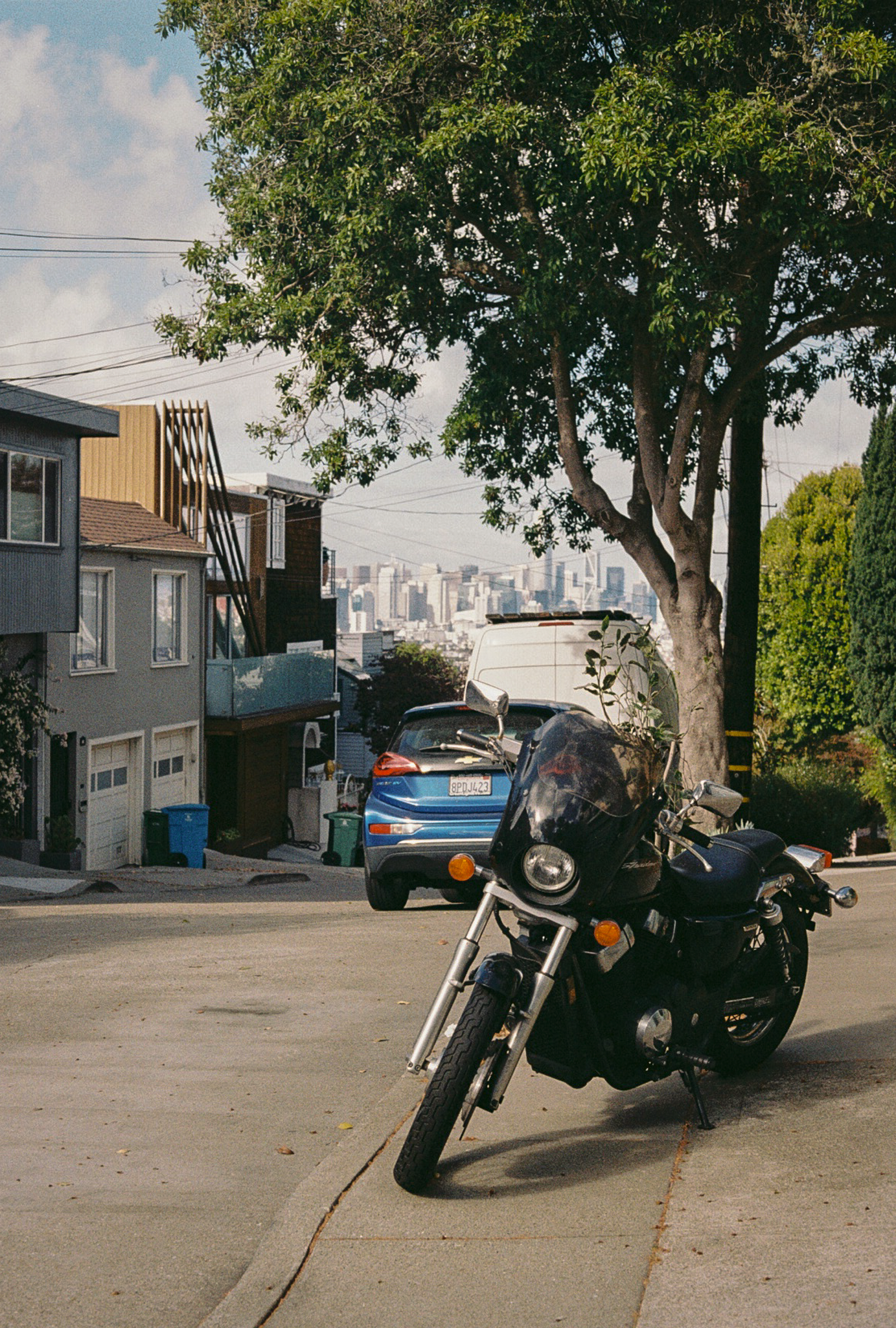 Bernal