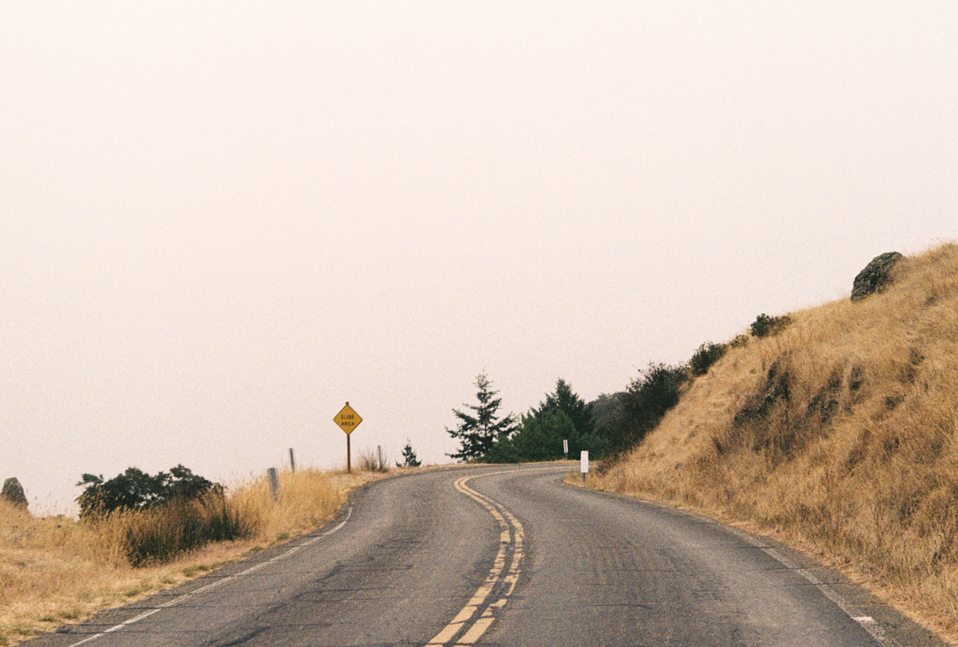MT Tam