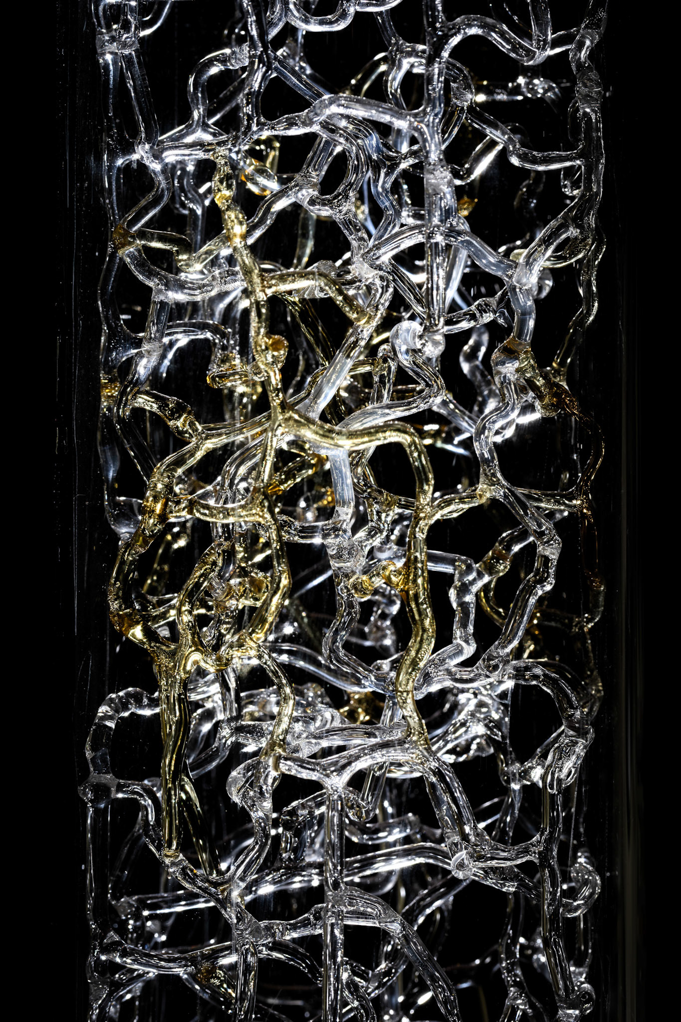 Autorka Barbara Idzikowska