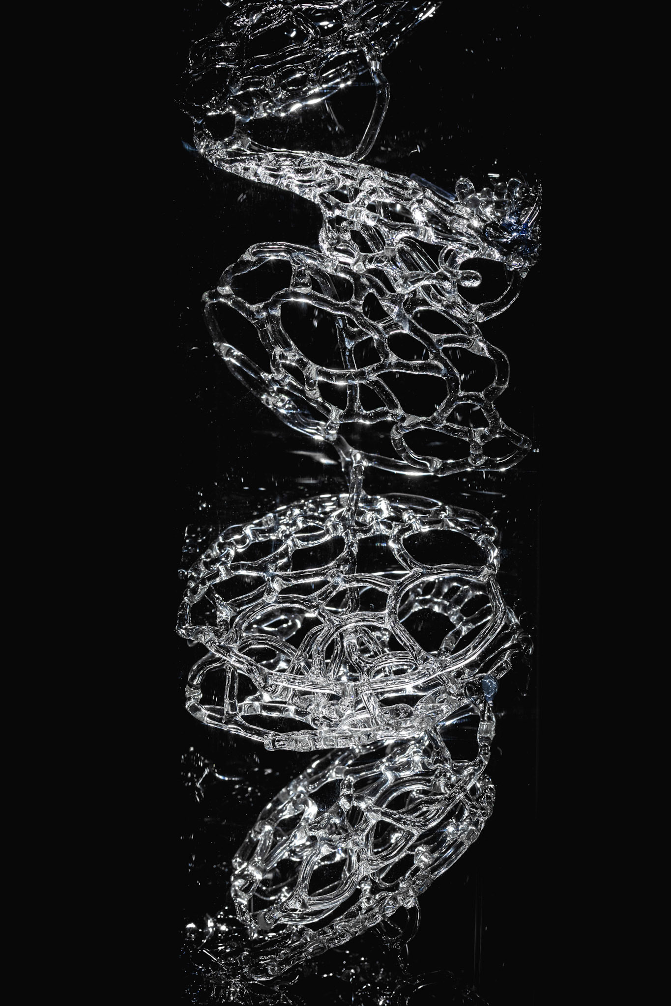 Autorka Katarzyna Krej