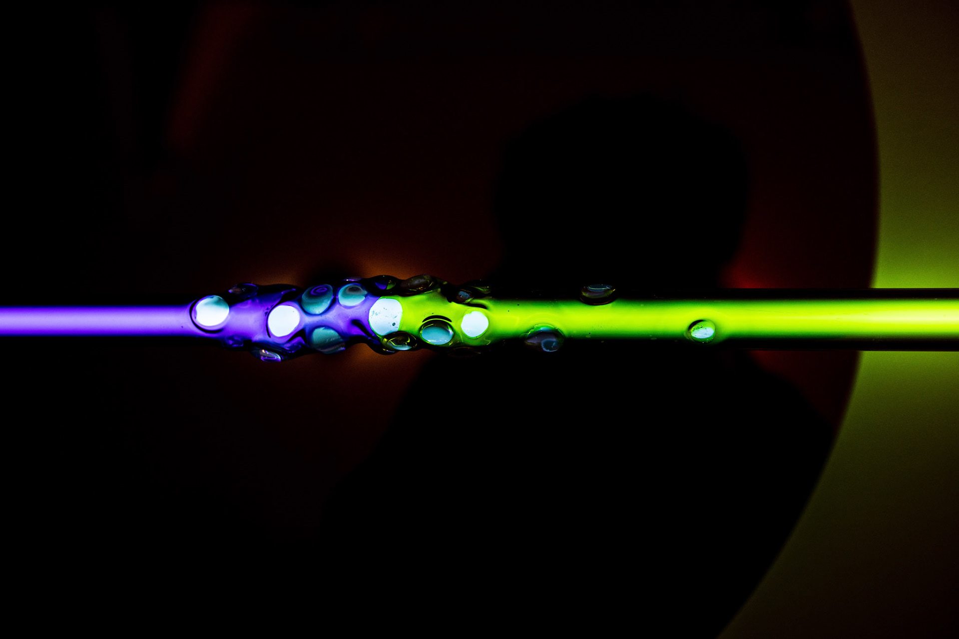 Wiwisekcja / Vivisection