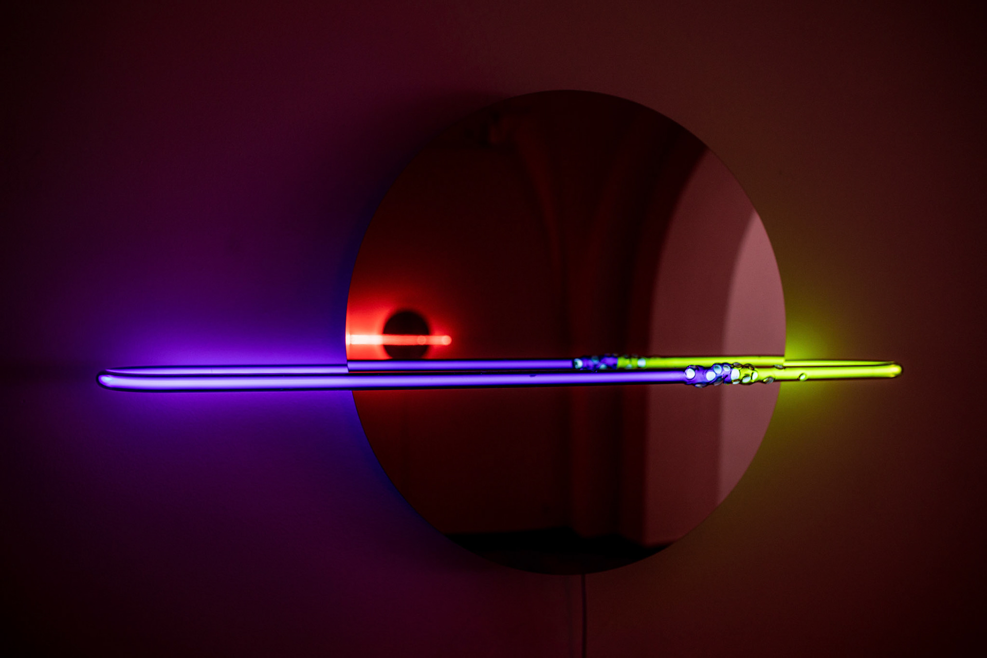 Wiwisekcja / Vivisection