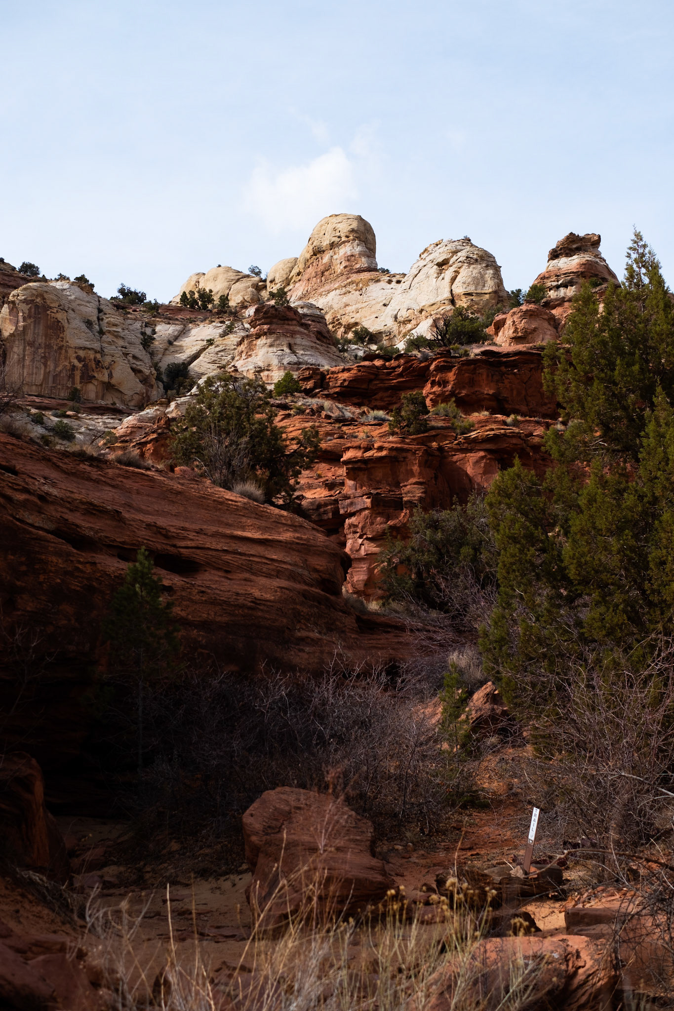 capitol reef