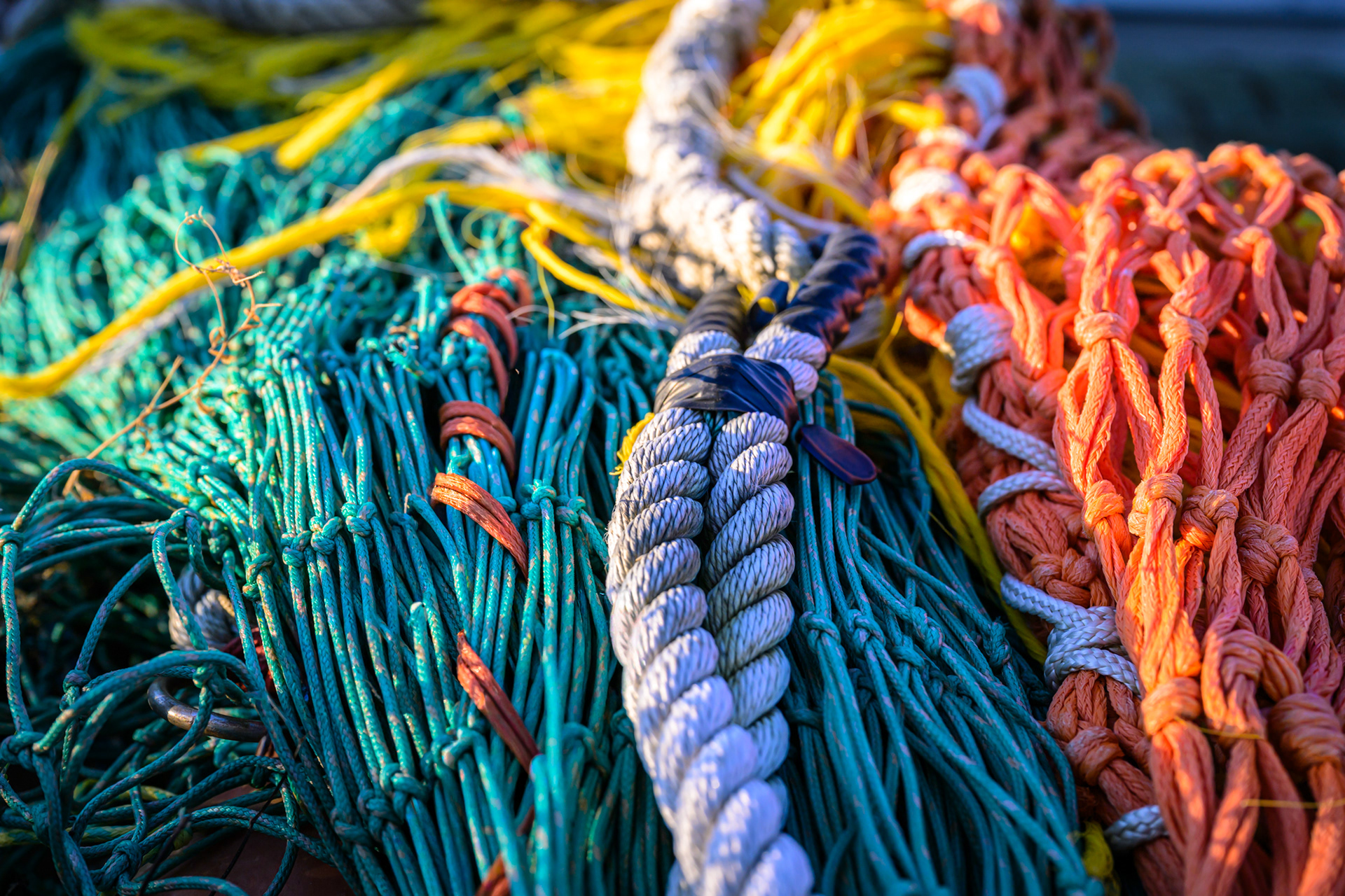 Martha's Vineyard Magazine Annual Photo Contest 2026 - Honorable Mention