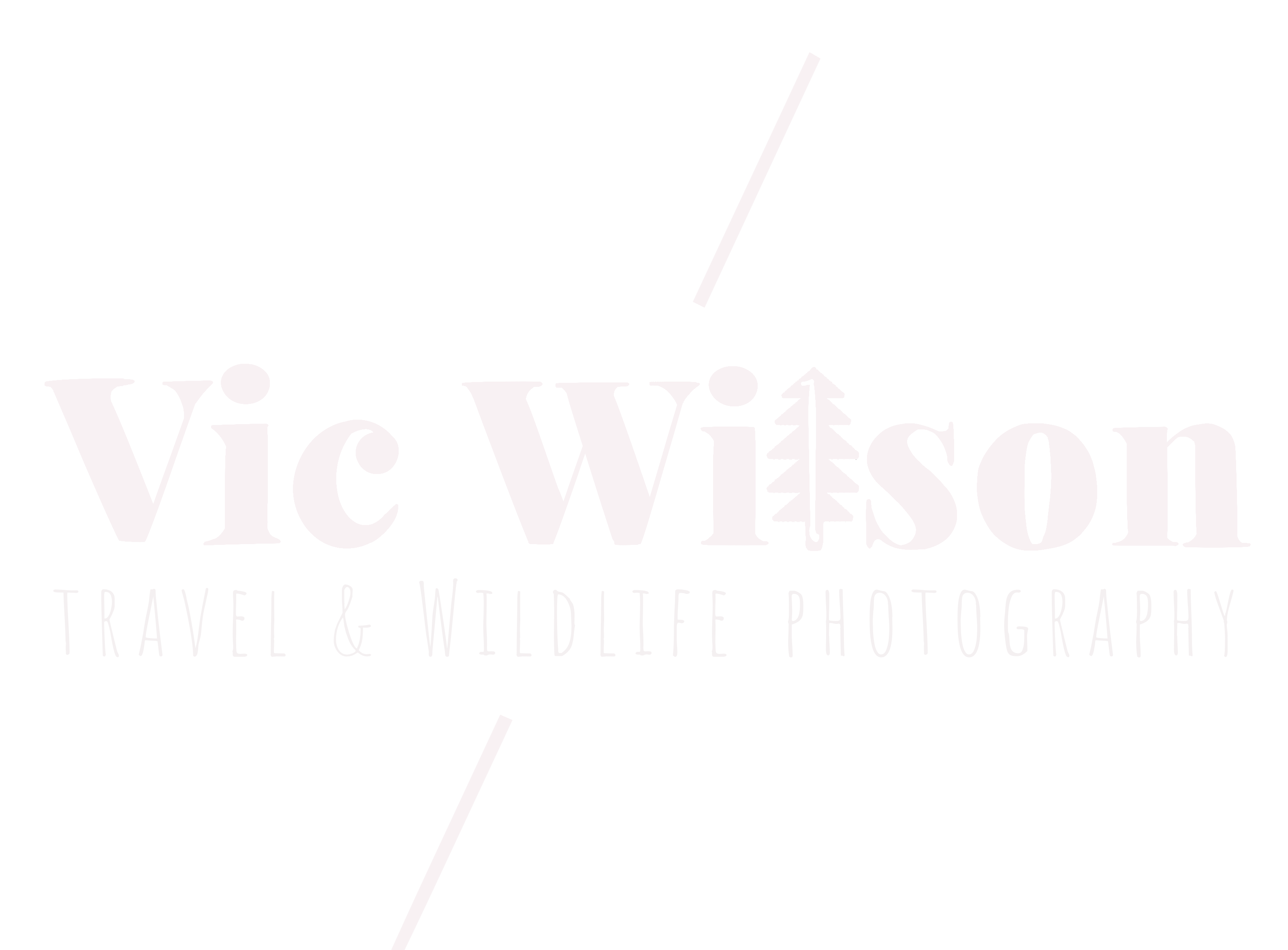 Victoria Wilson