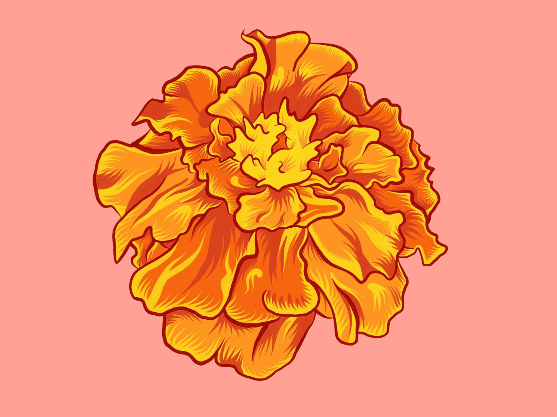 Marigold (2018) - Digital Painting