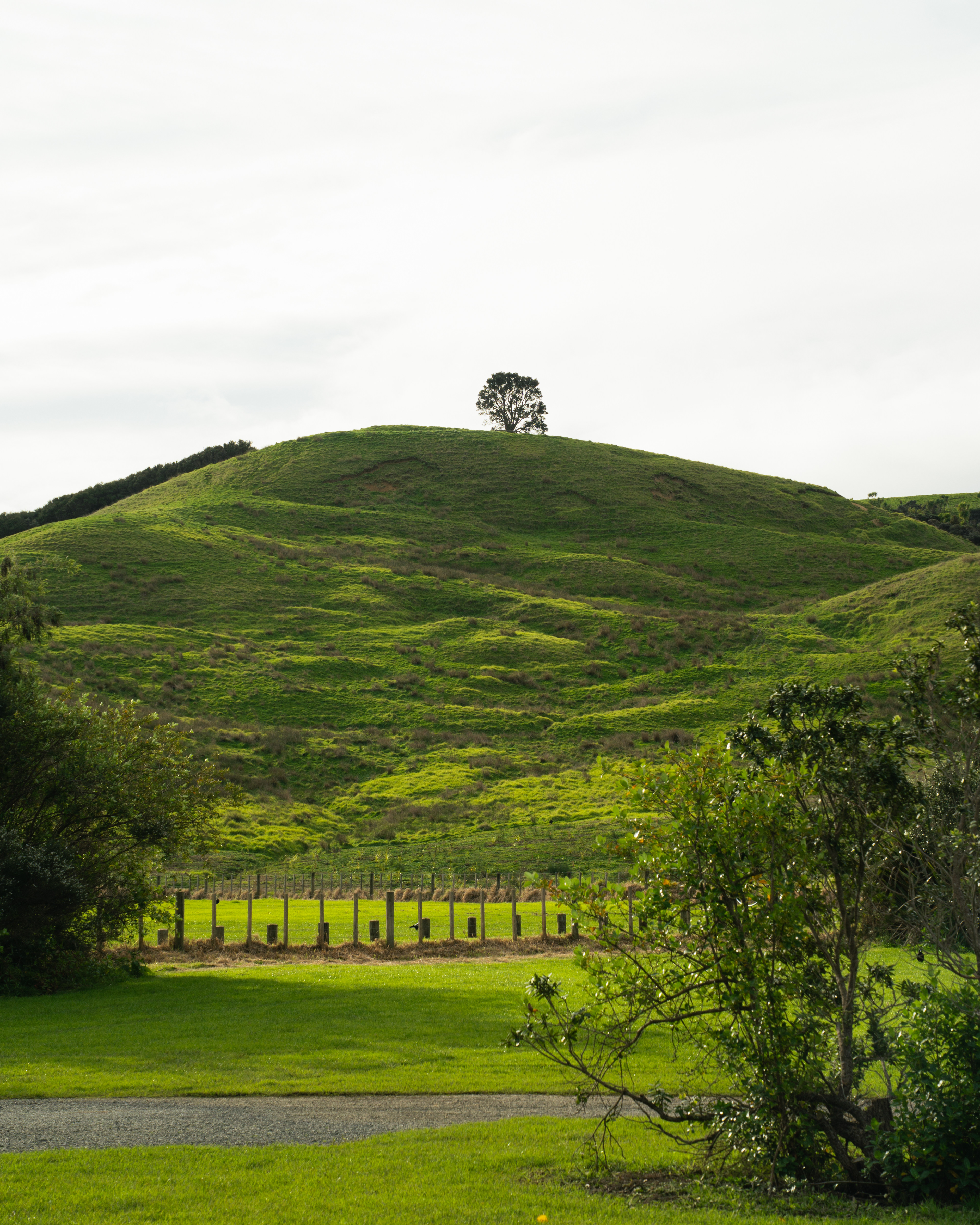 Shakespear Regional Park