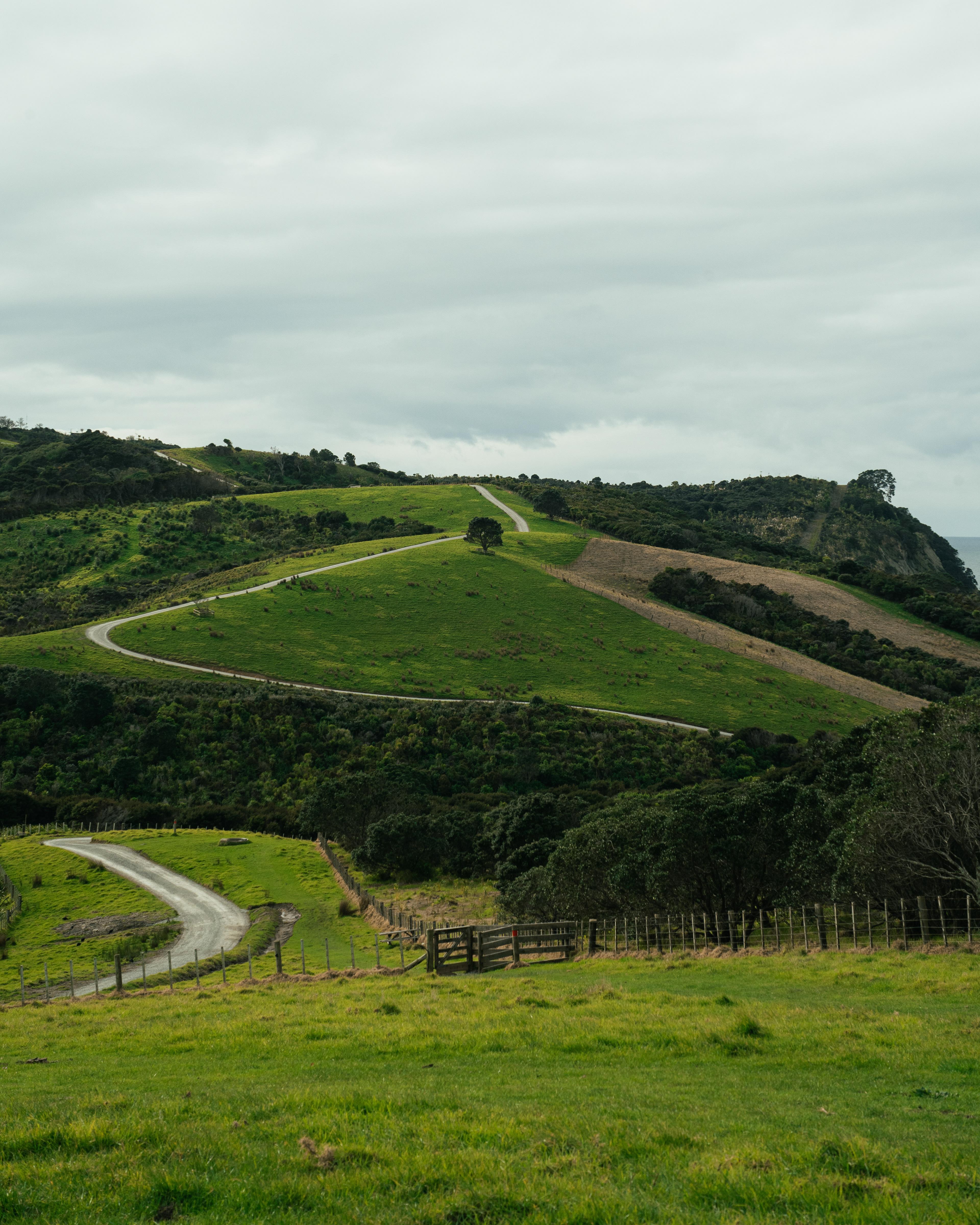 Shakespear Regional Park
