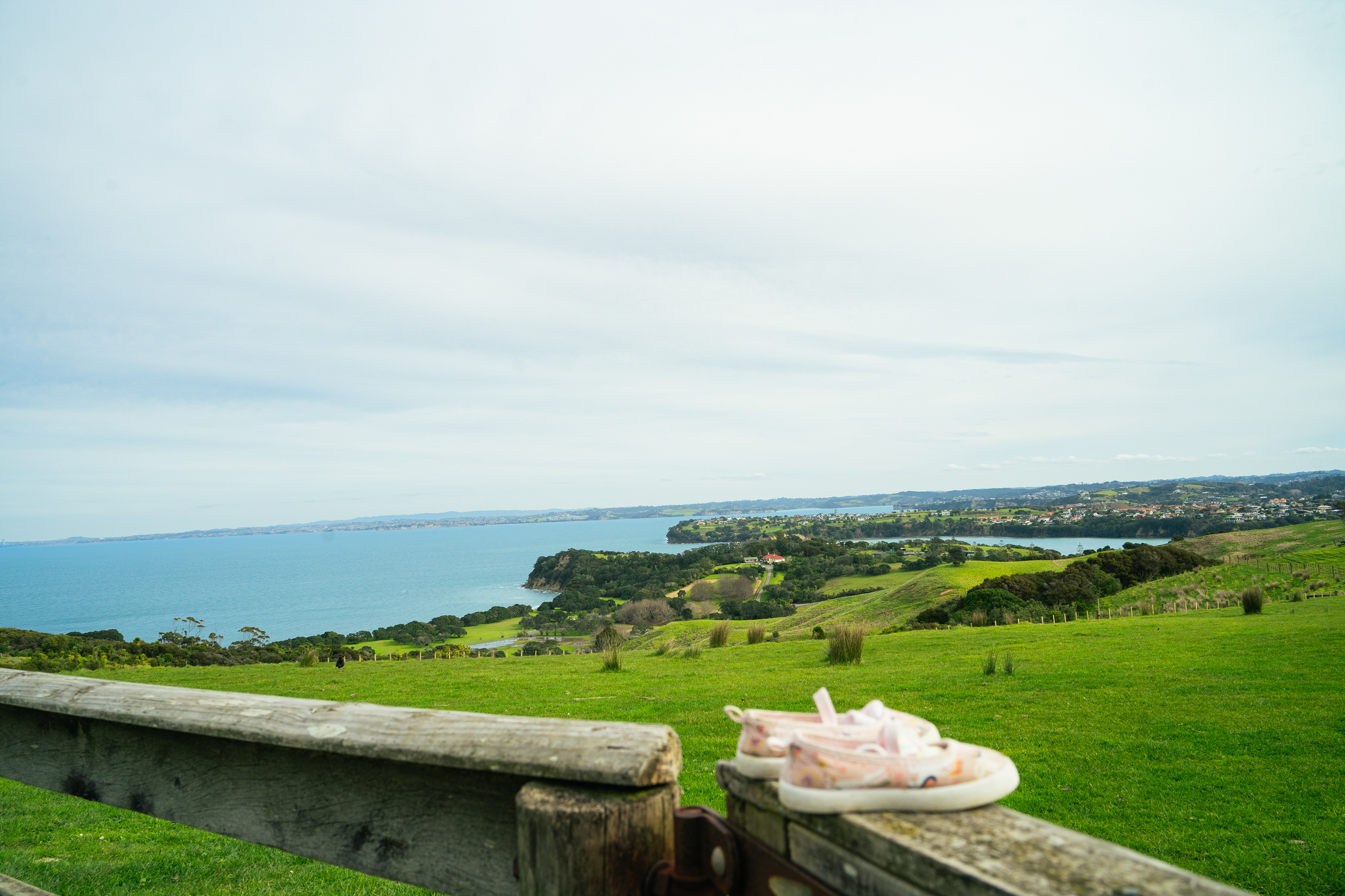 Shakespear Regional Park