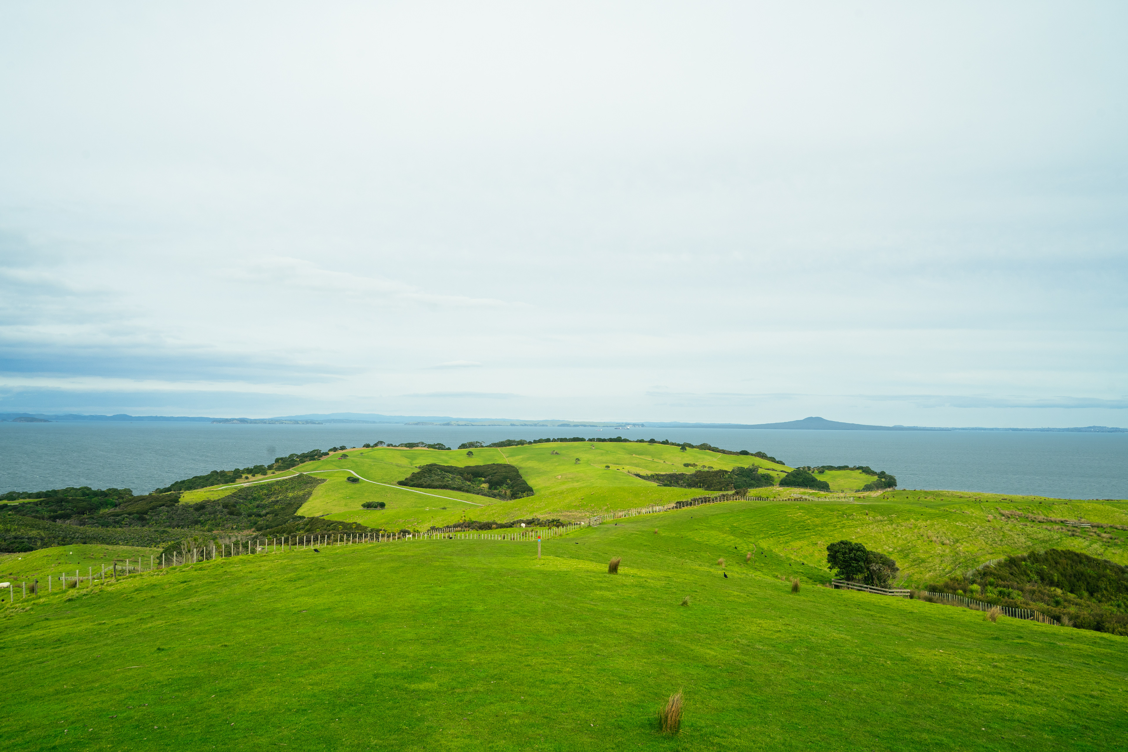 Shakespear Regional Park
