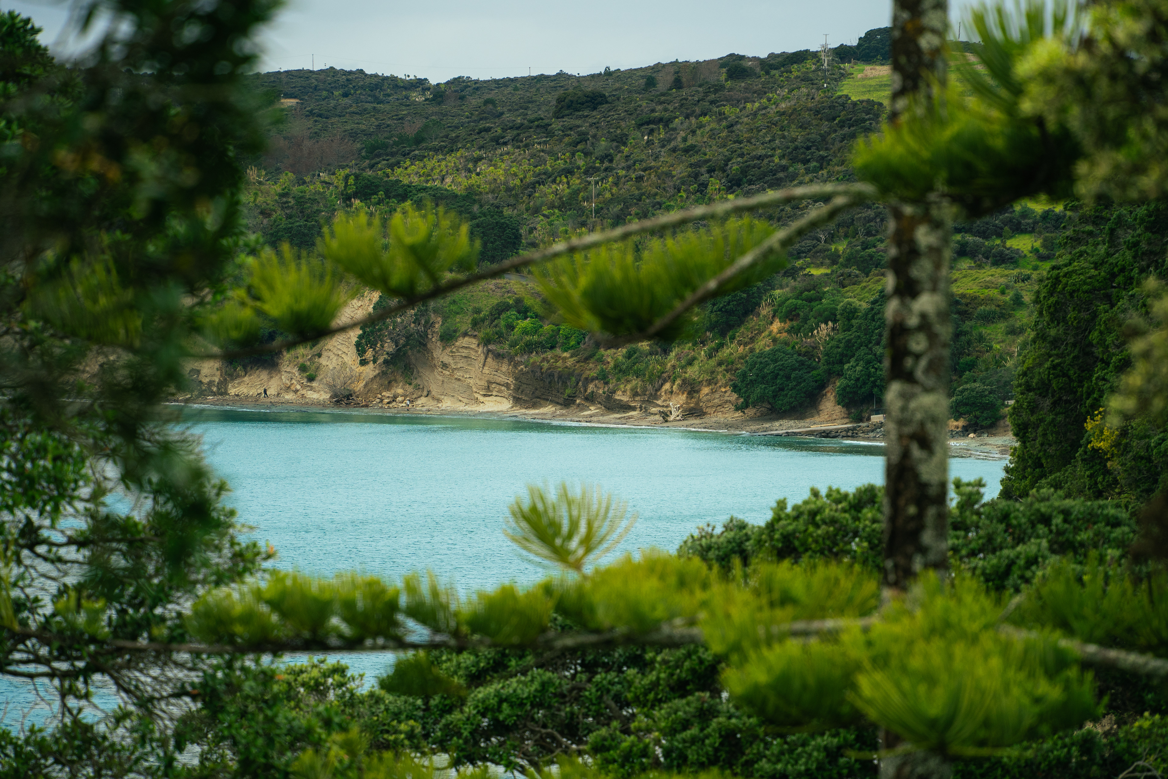 Shakespear Regional Park