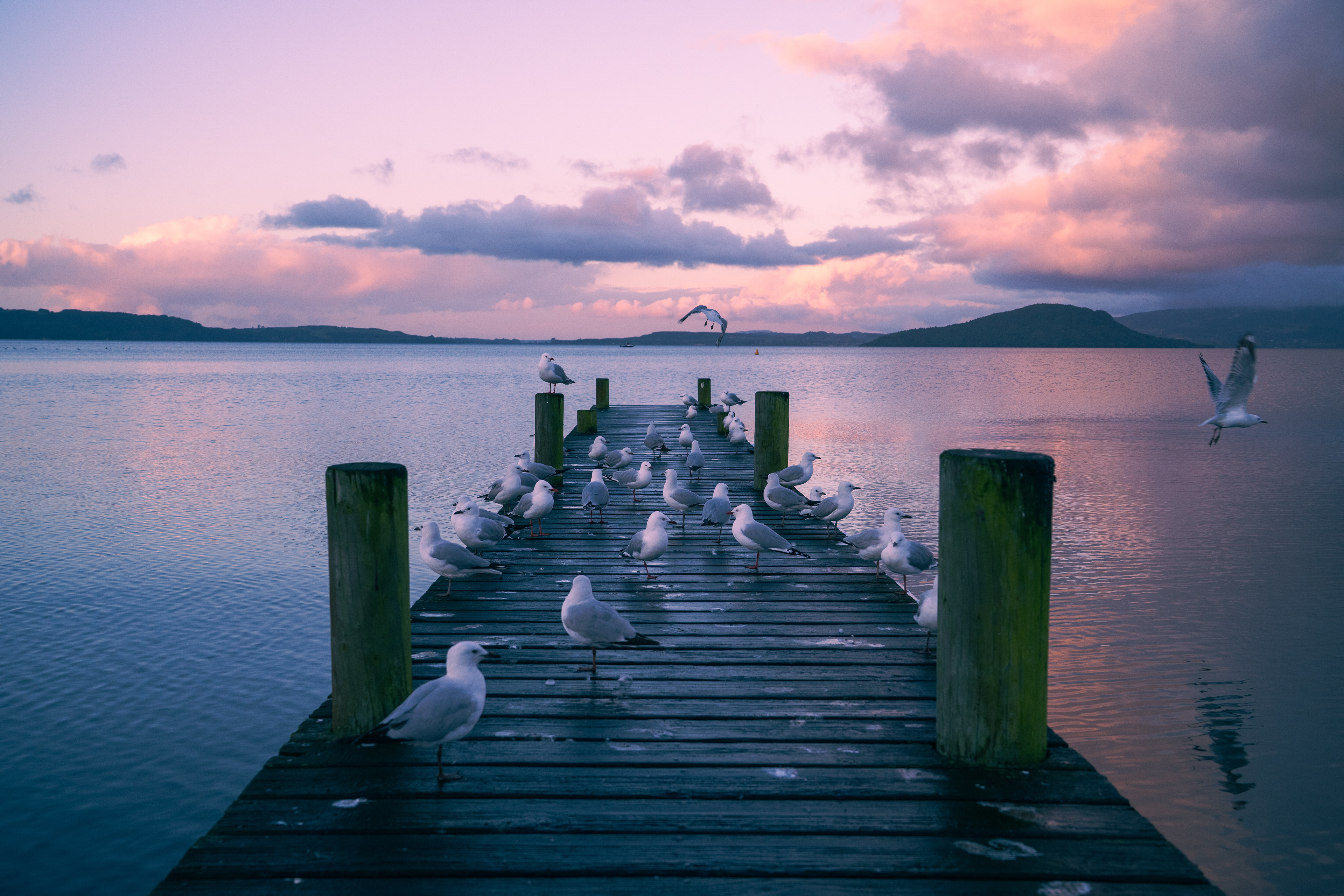 Lake Taupo
