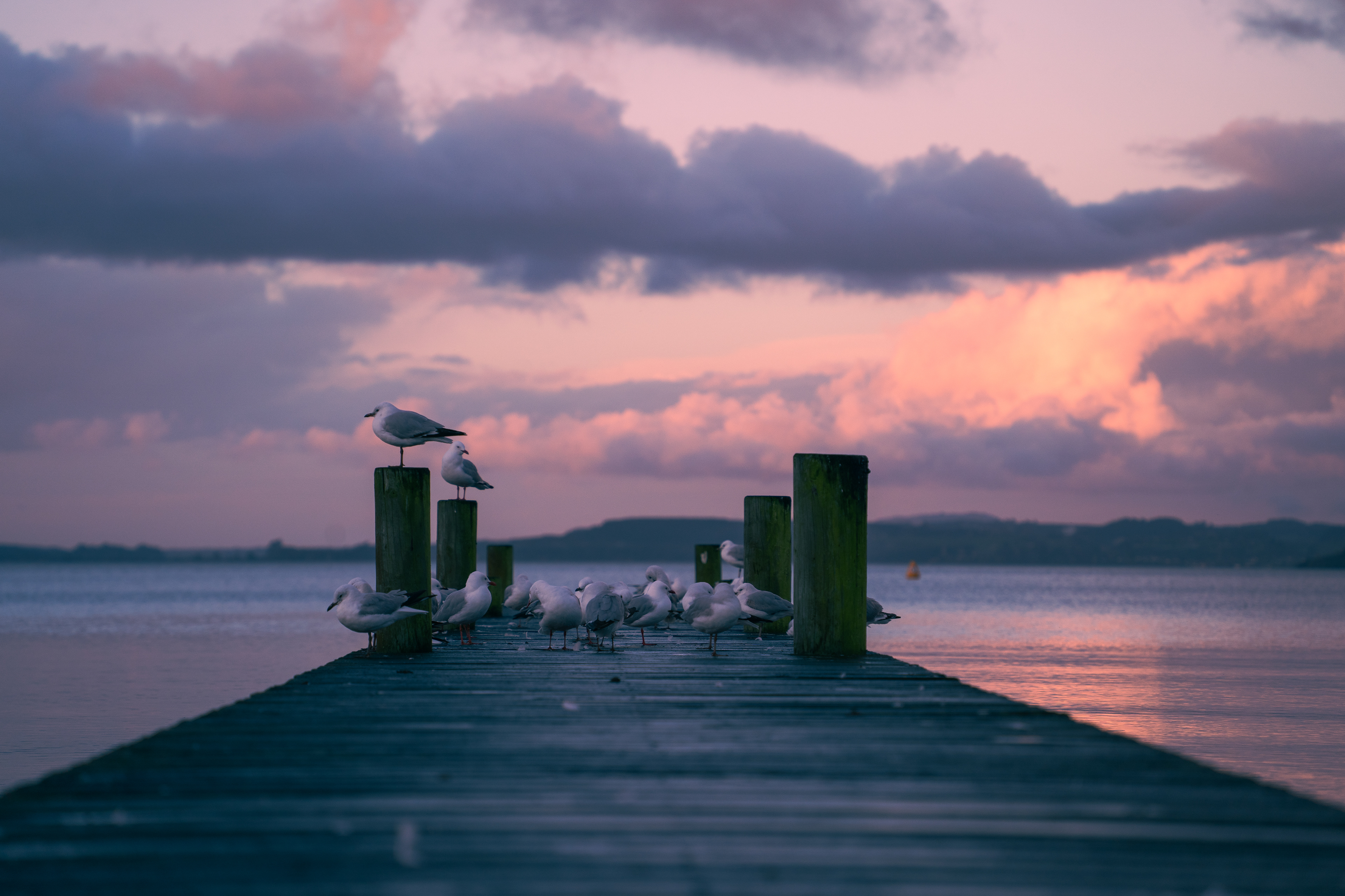 Lake Taupo