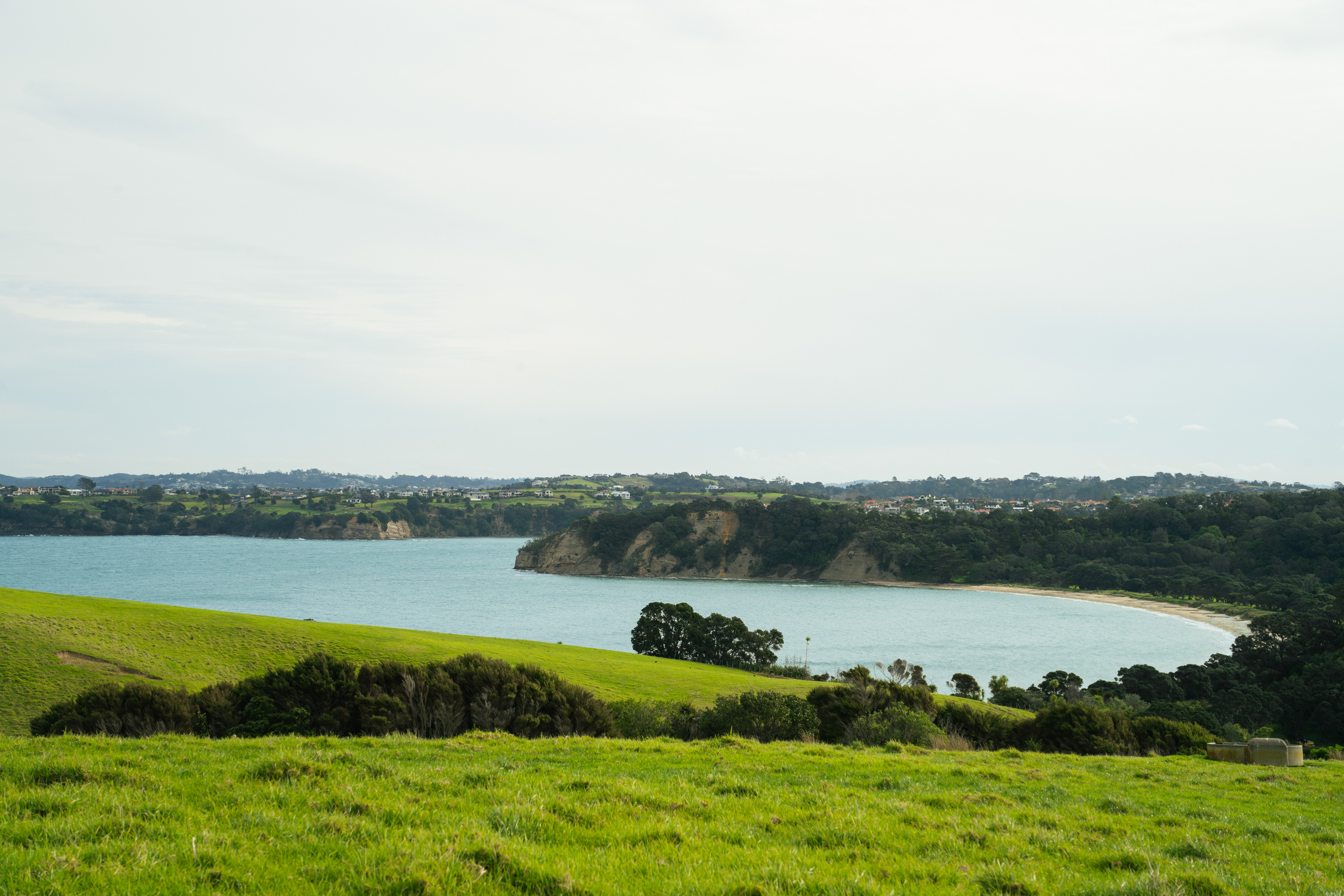 Shakespear Regional Park