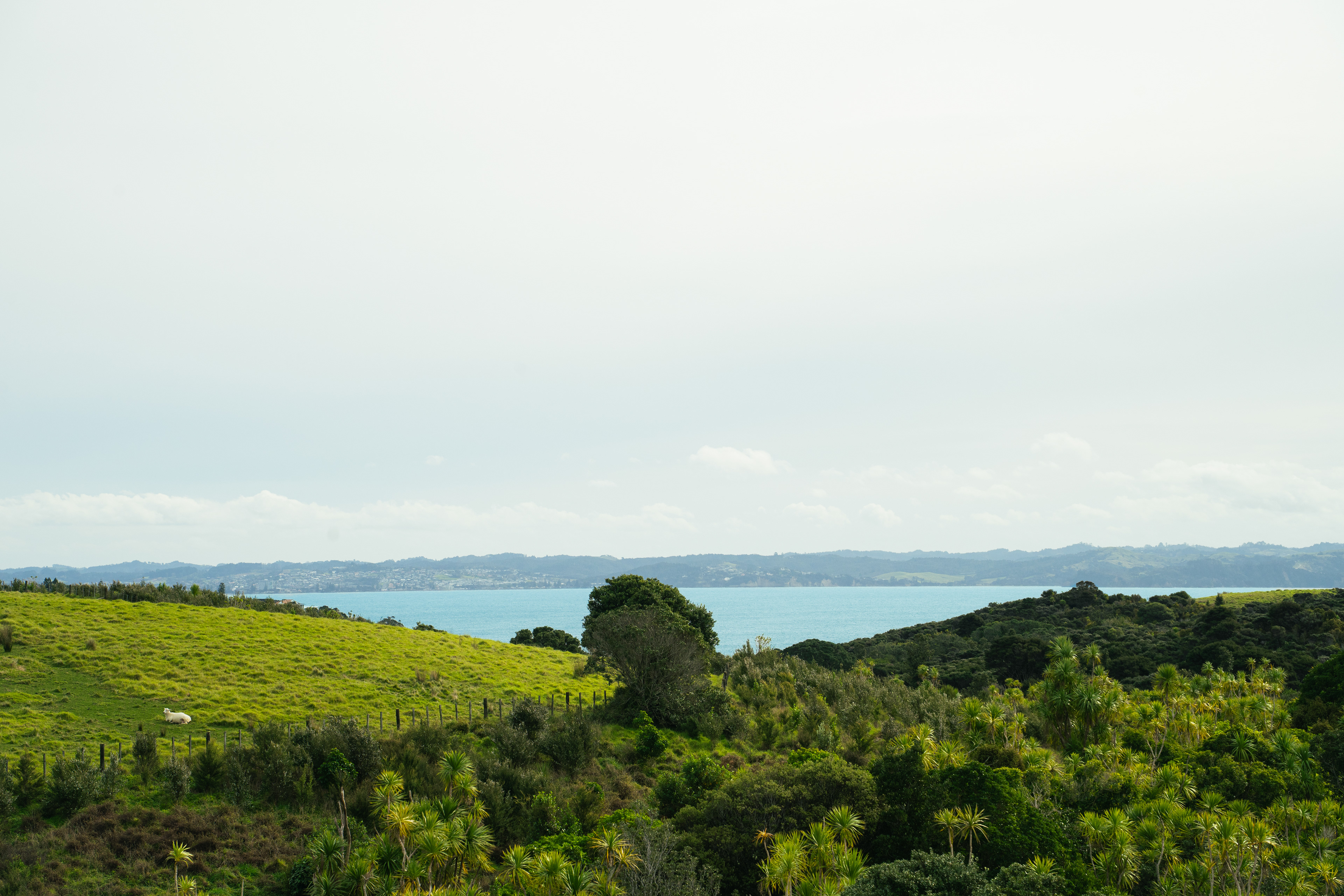 Shakespear Regional Park