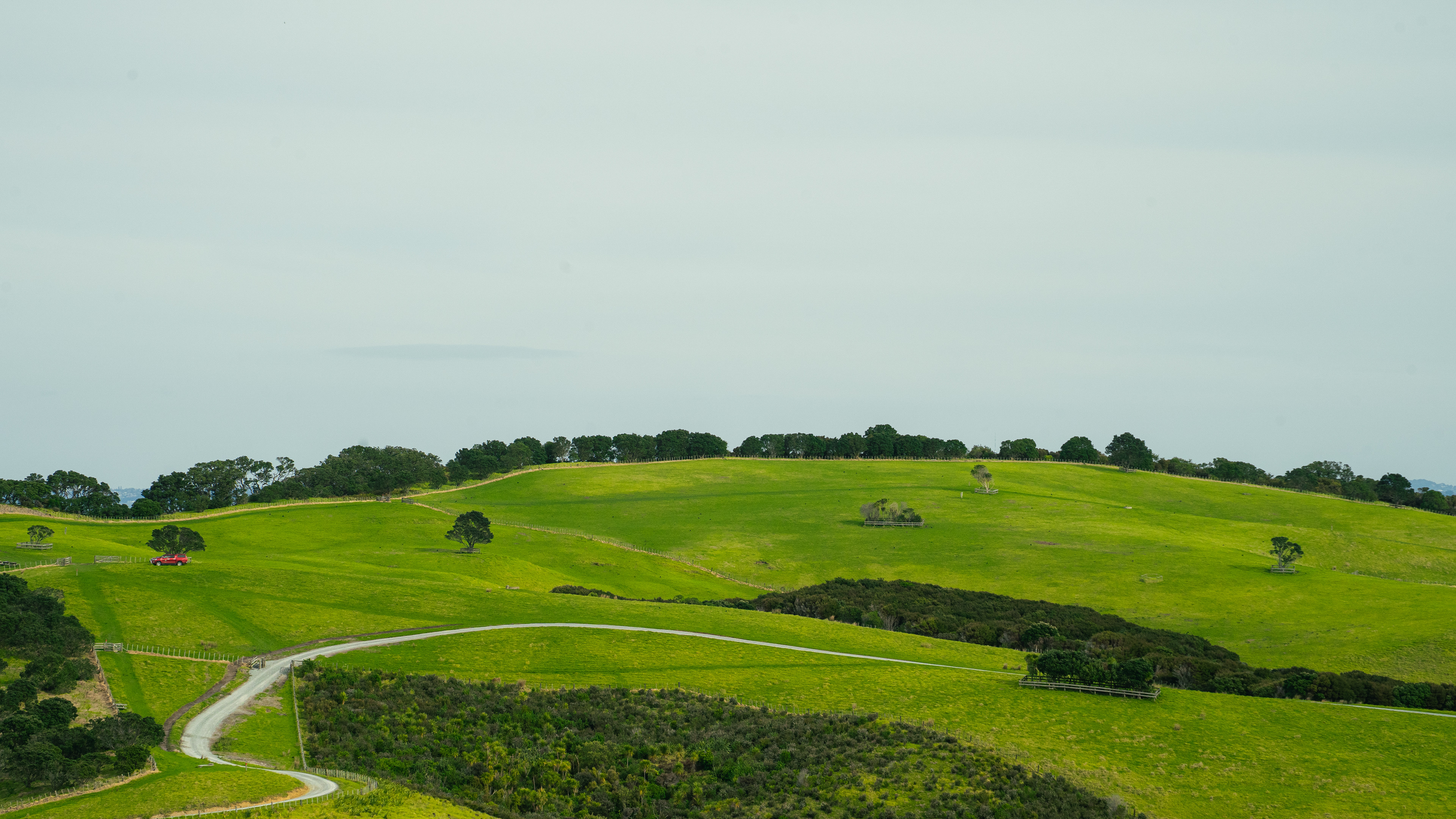 Shakespear Regional Park