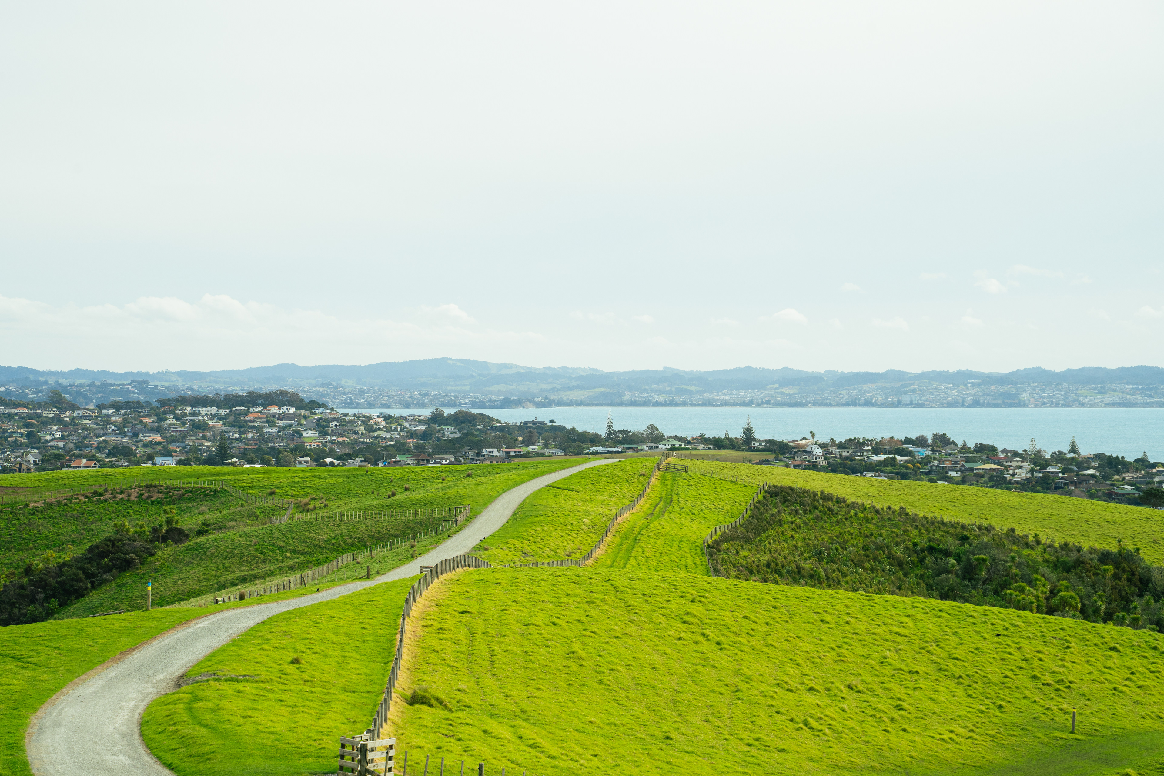 Shakespear Regional Park
