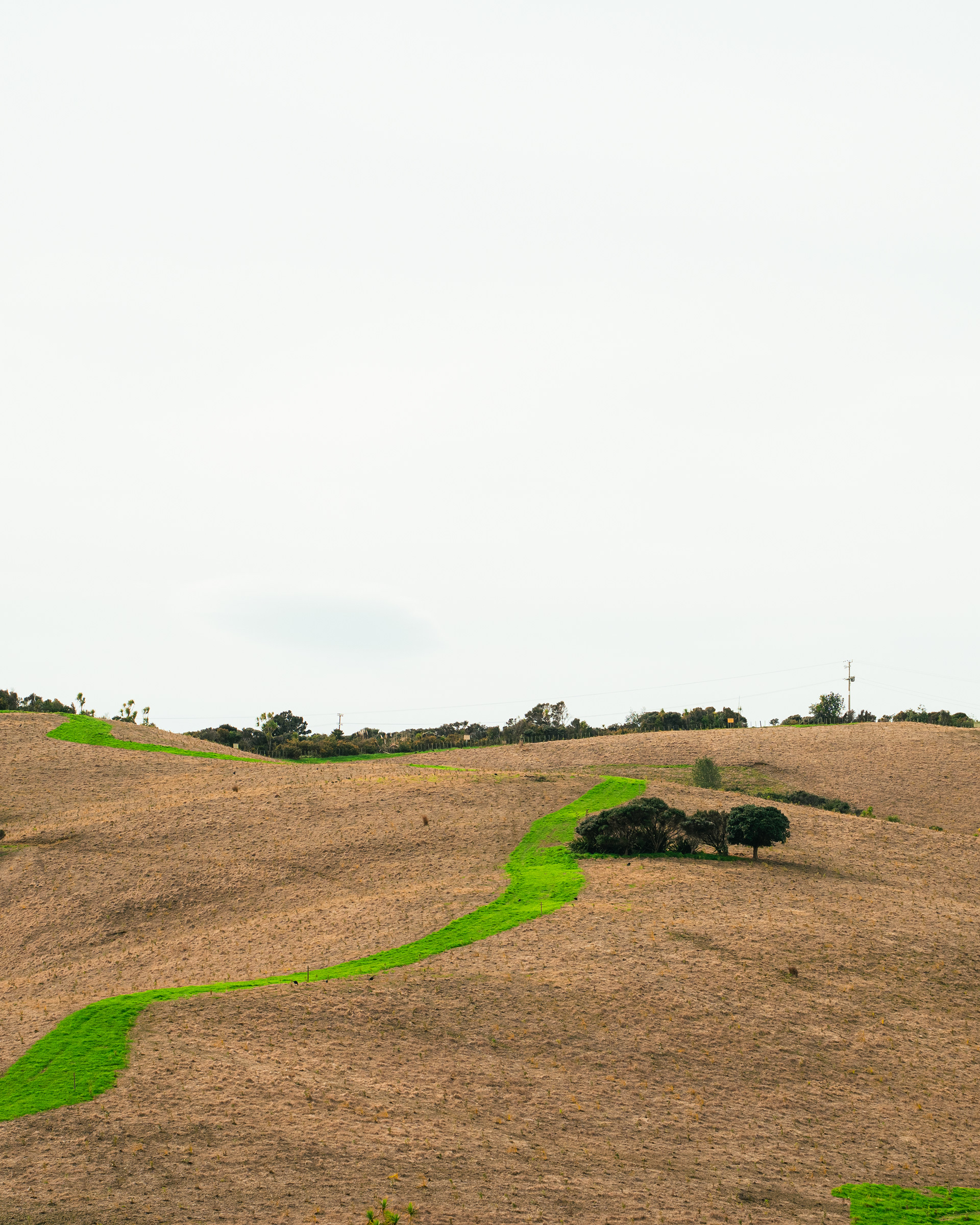 Shakespear Regional Park