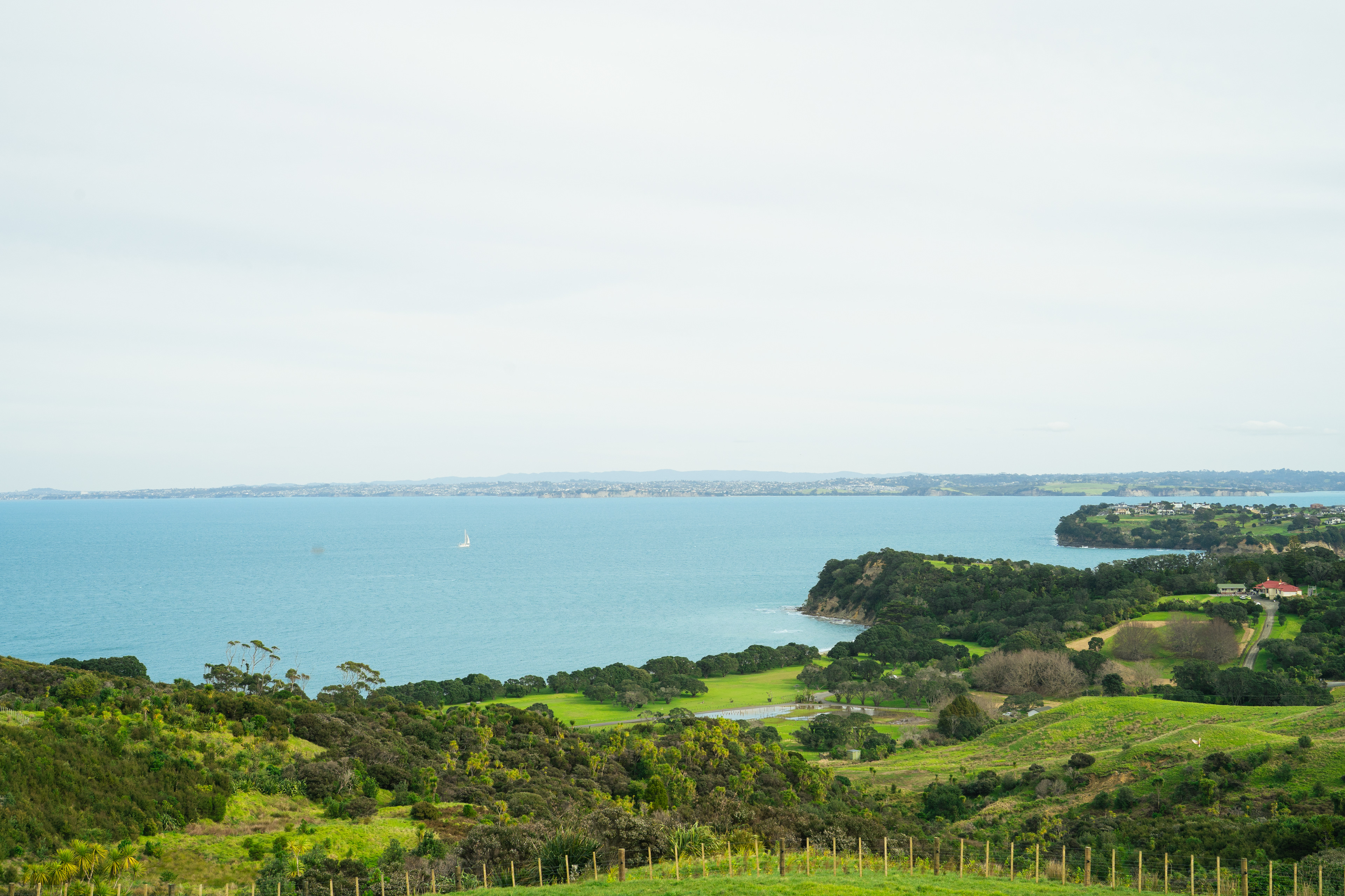 Shakespear Regional Park
