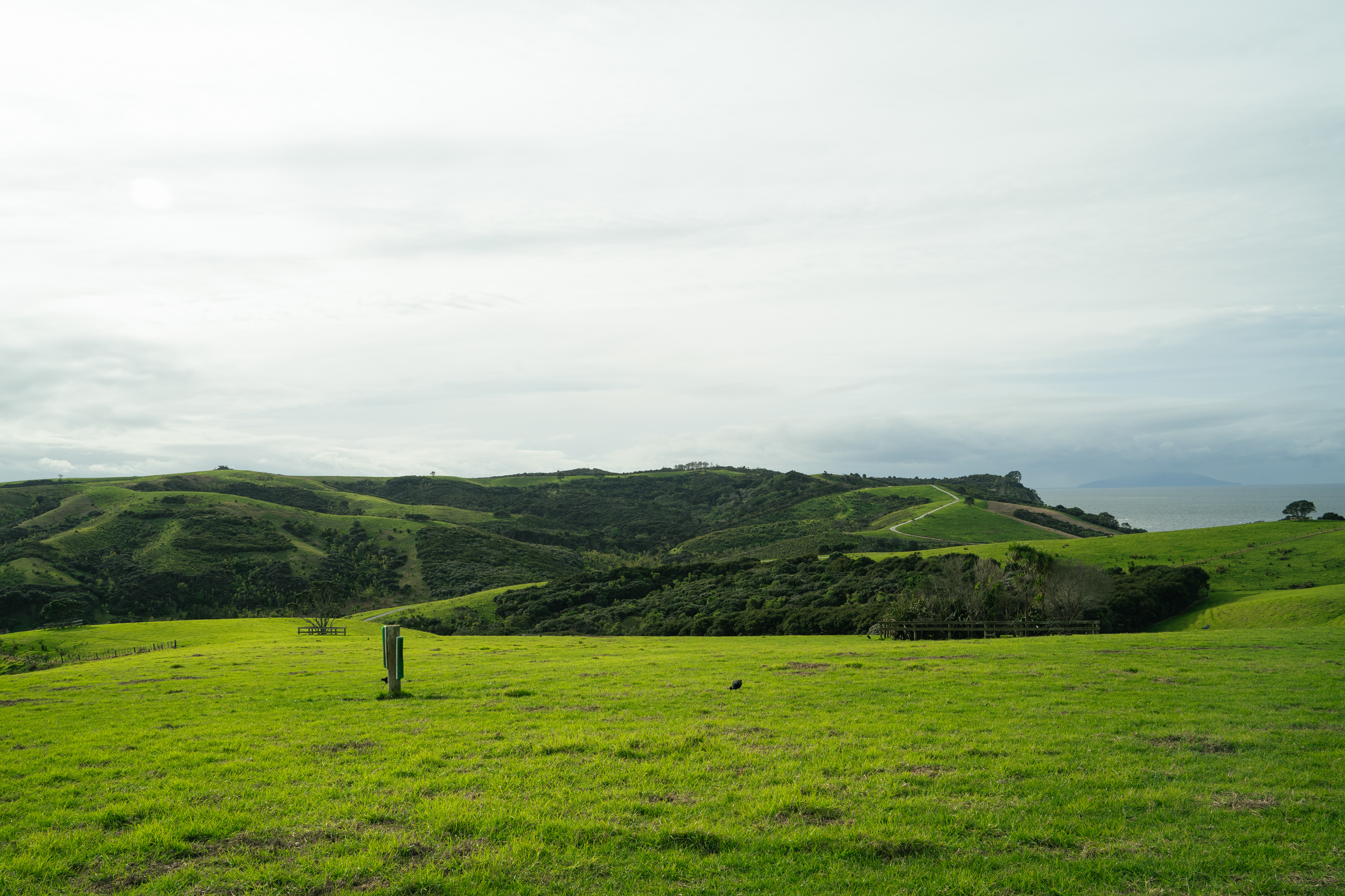 Shakespear Regional Park