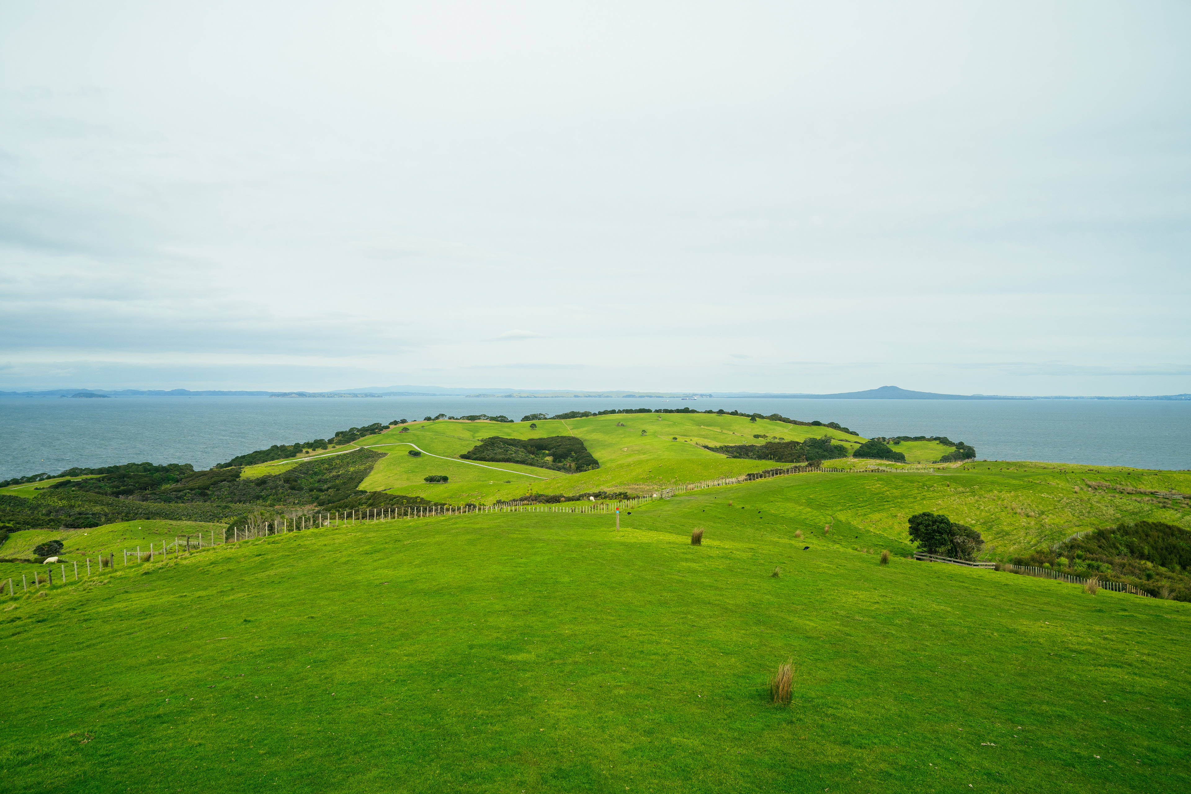 Shakespear Regional Park