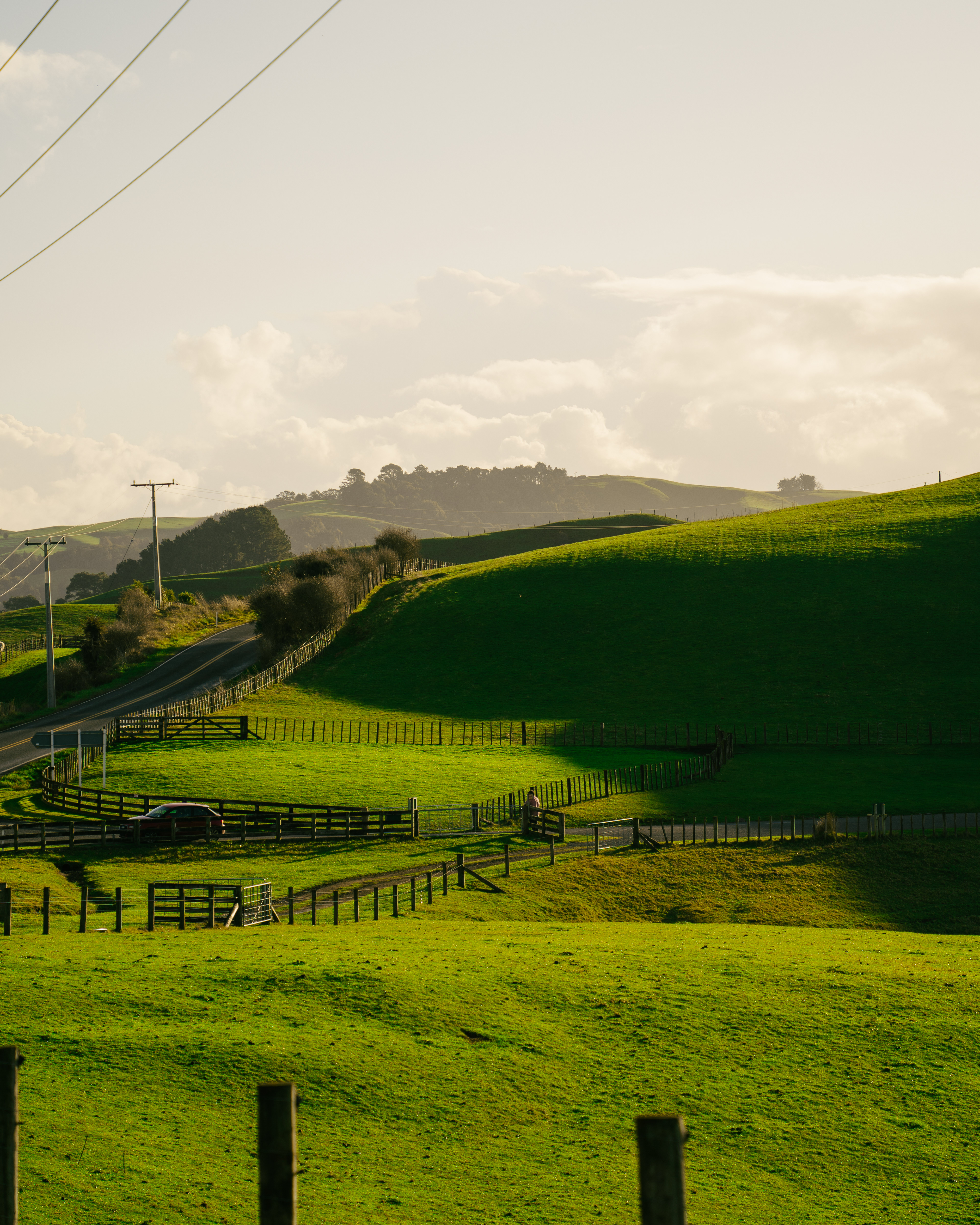 Matamata