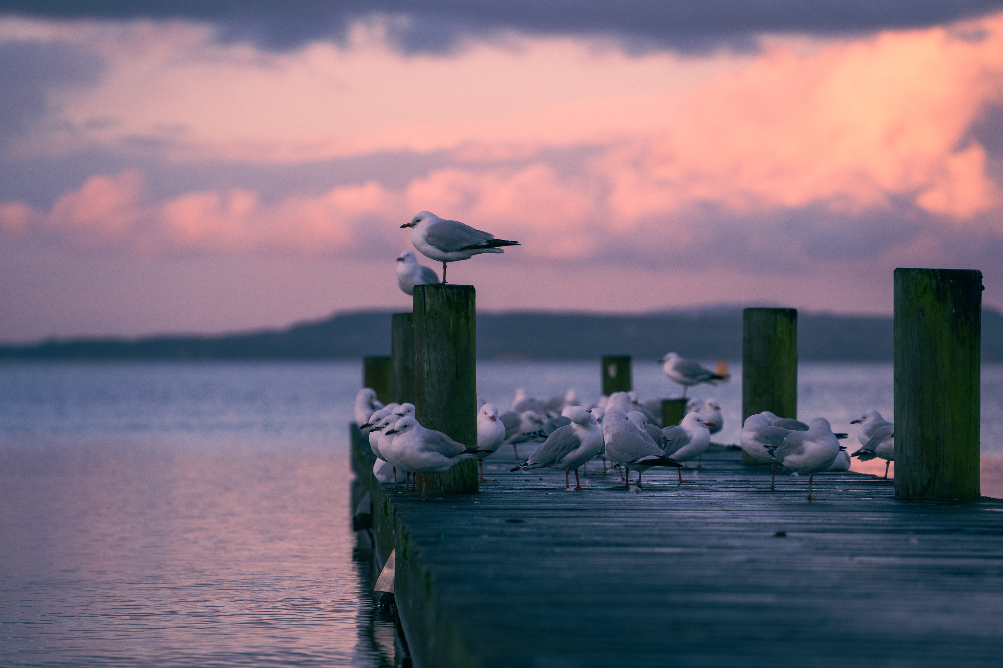Lake Taupo