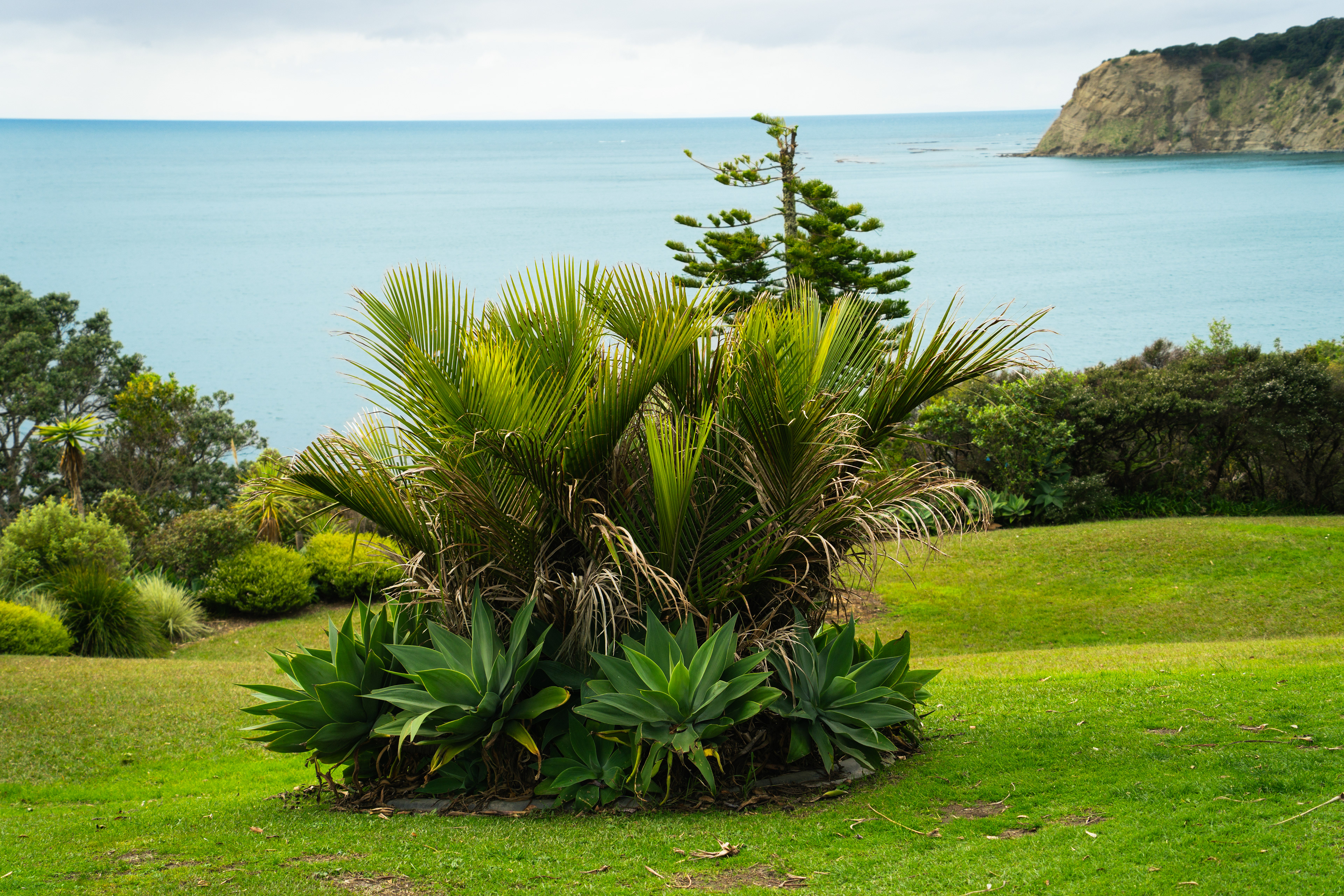 Shakespear Regional Park