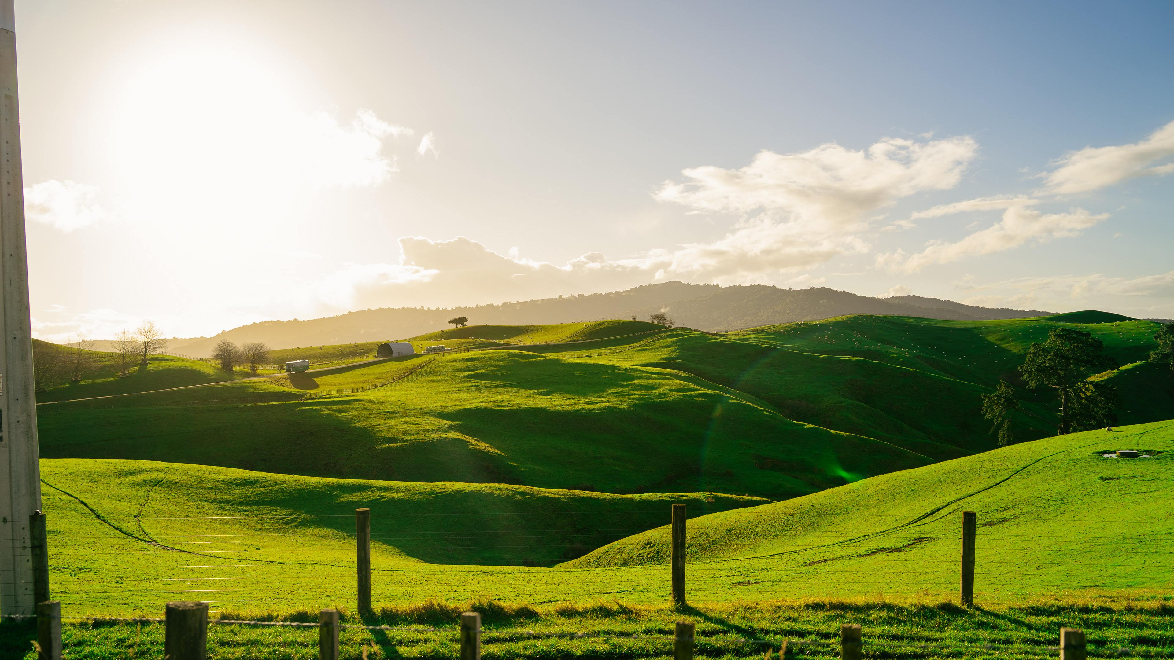 Matamata
