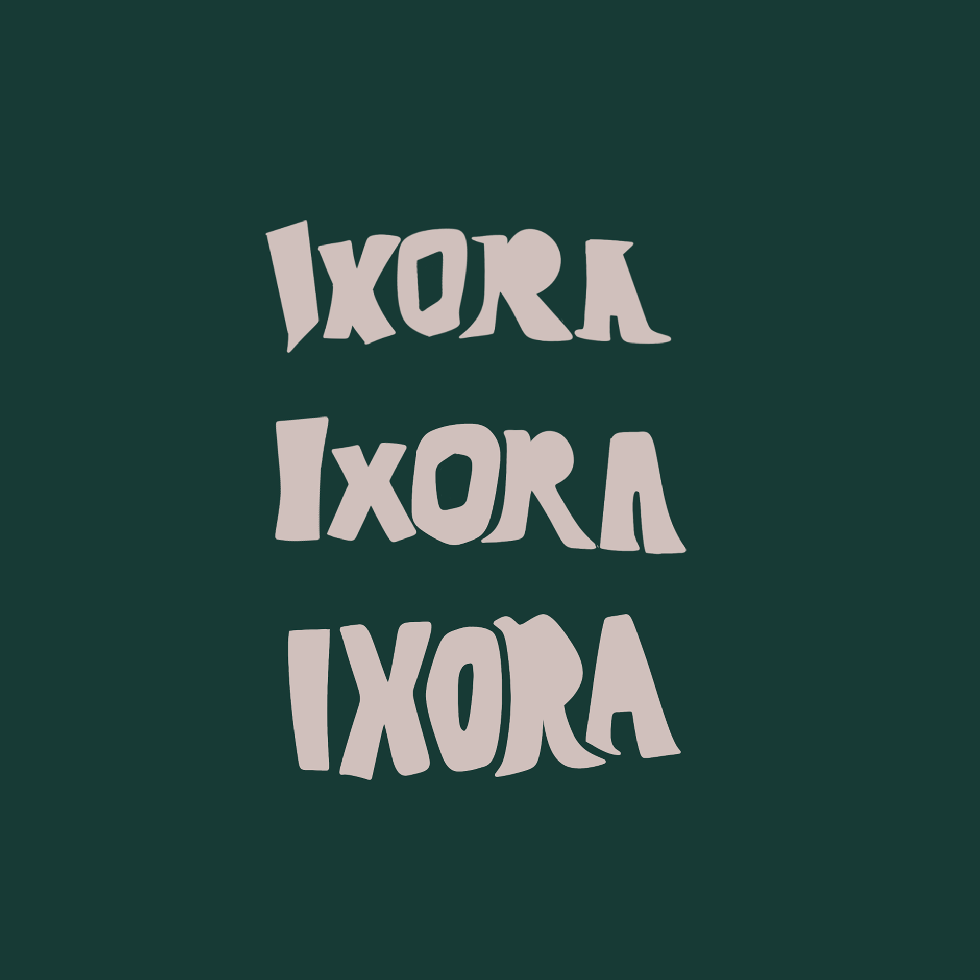 The style is simple and loose taking lots of inspiration from stylized print and hand drawn lettering. It’s defiant of traditional structure deliberately making this spontaneous and unique.
